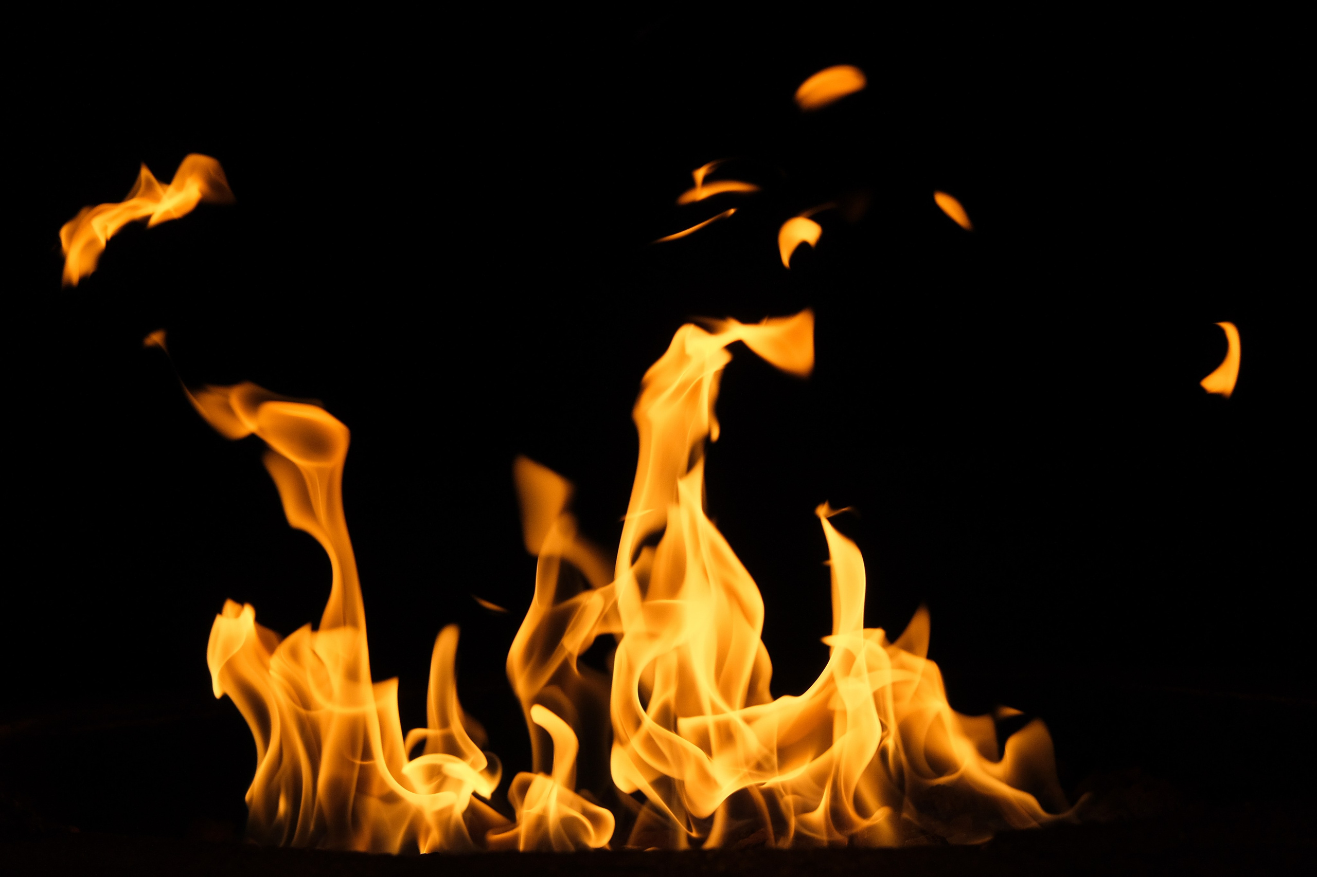 VATRA. Reportage concert portrait photography in the San Francisco Bay Area