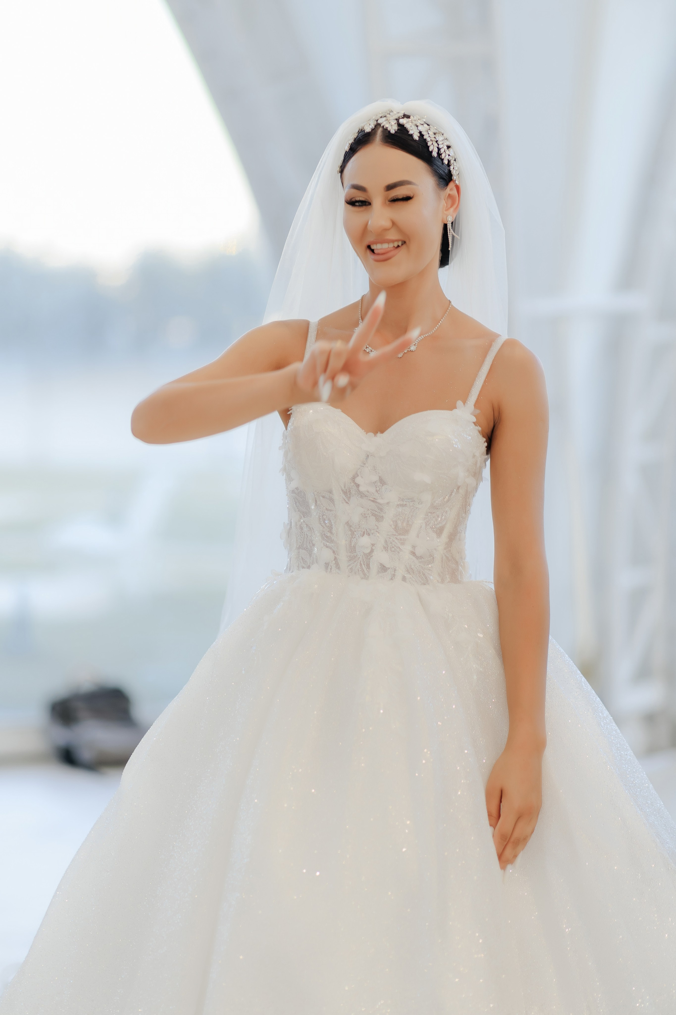 Liviu & Vergilia. ProWed — Foto Video Moldova și România