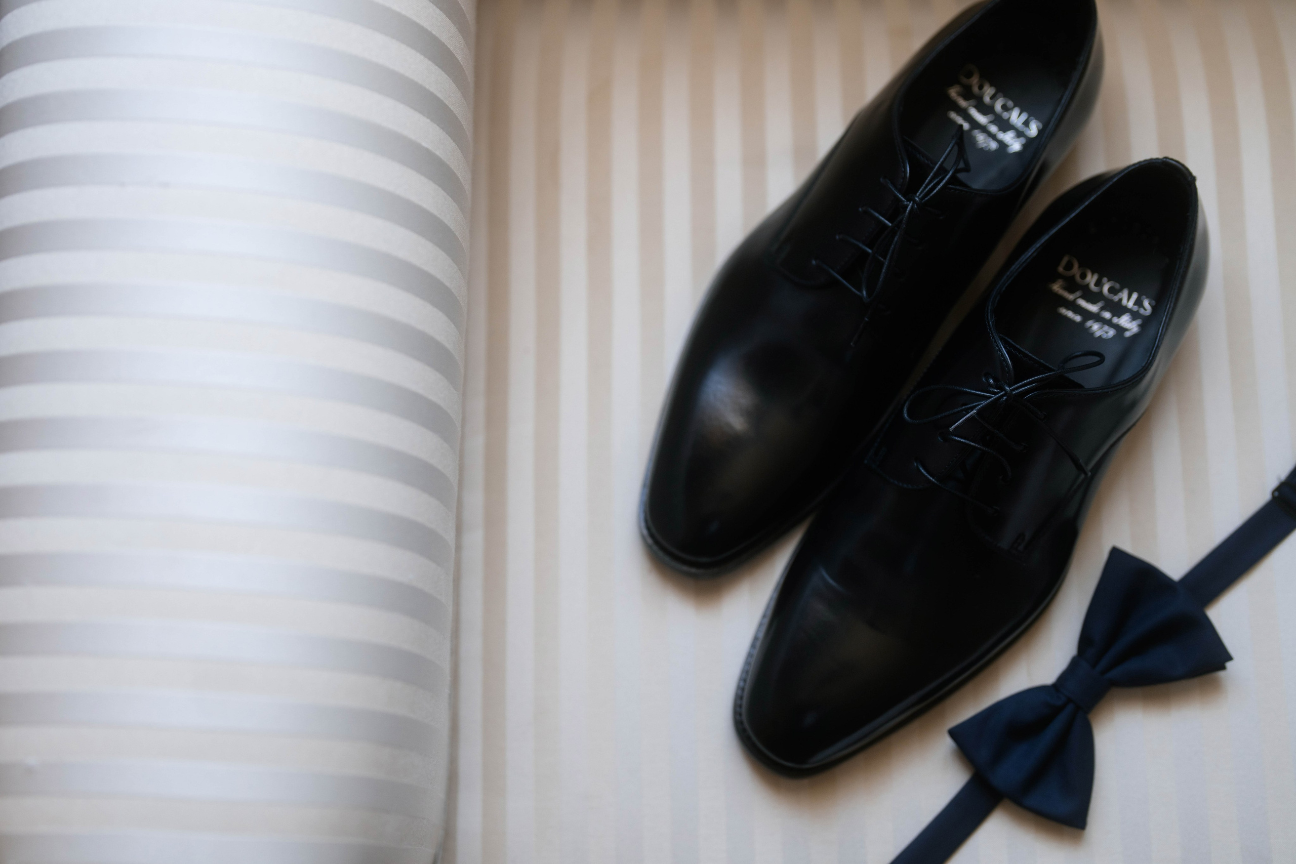 Cosmin & Georgiana. Studio Timis