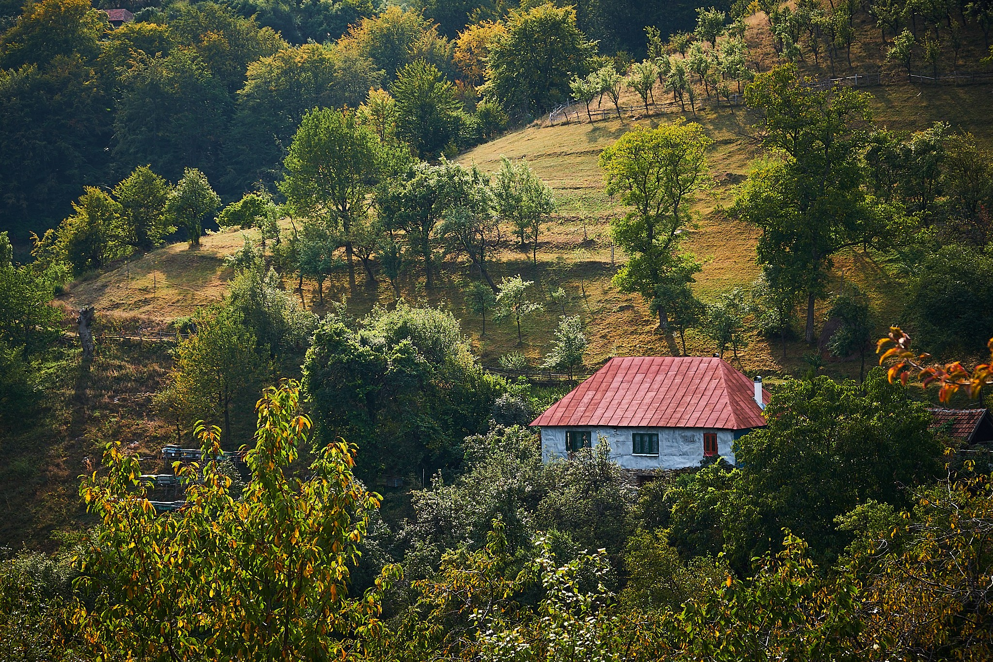 Ineleț, jud. Caraș-Severin. Pagina principală