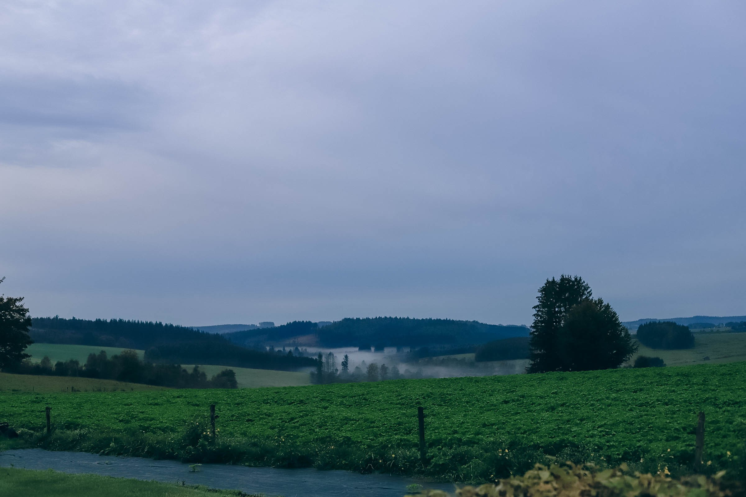 Neuf. Family and Portraits photographer Diana Andoni