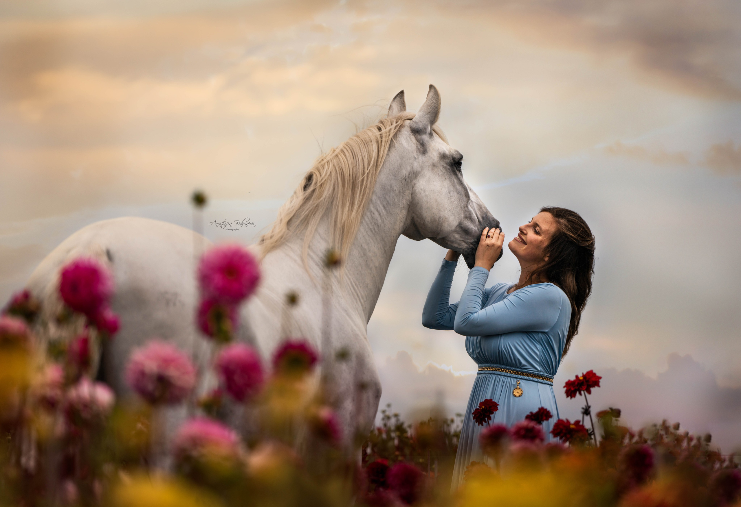 Horse Experience. Sports and portrait photographer in Riga