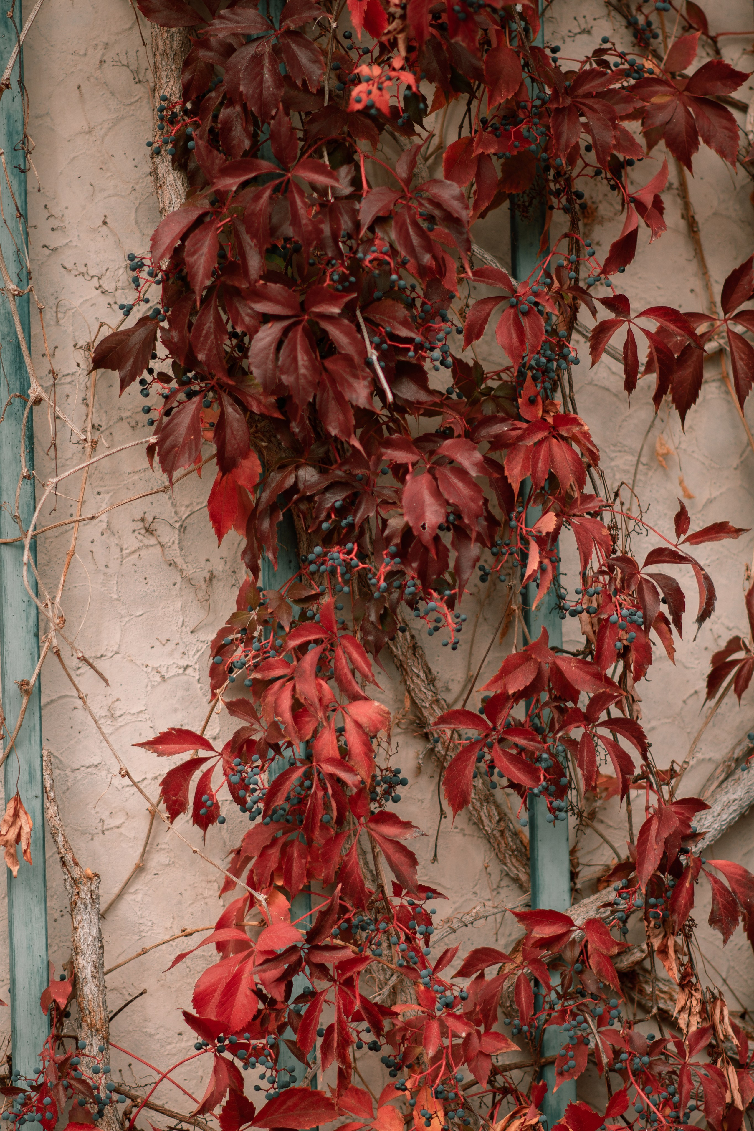 Осень. Семейный и детский фотограф