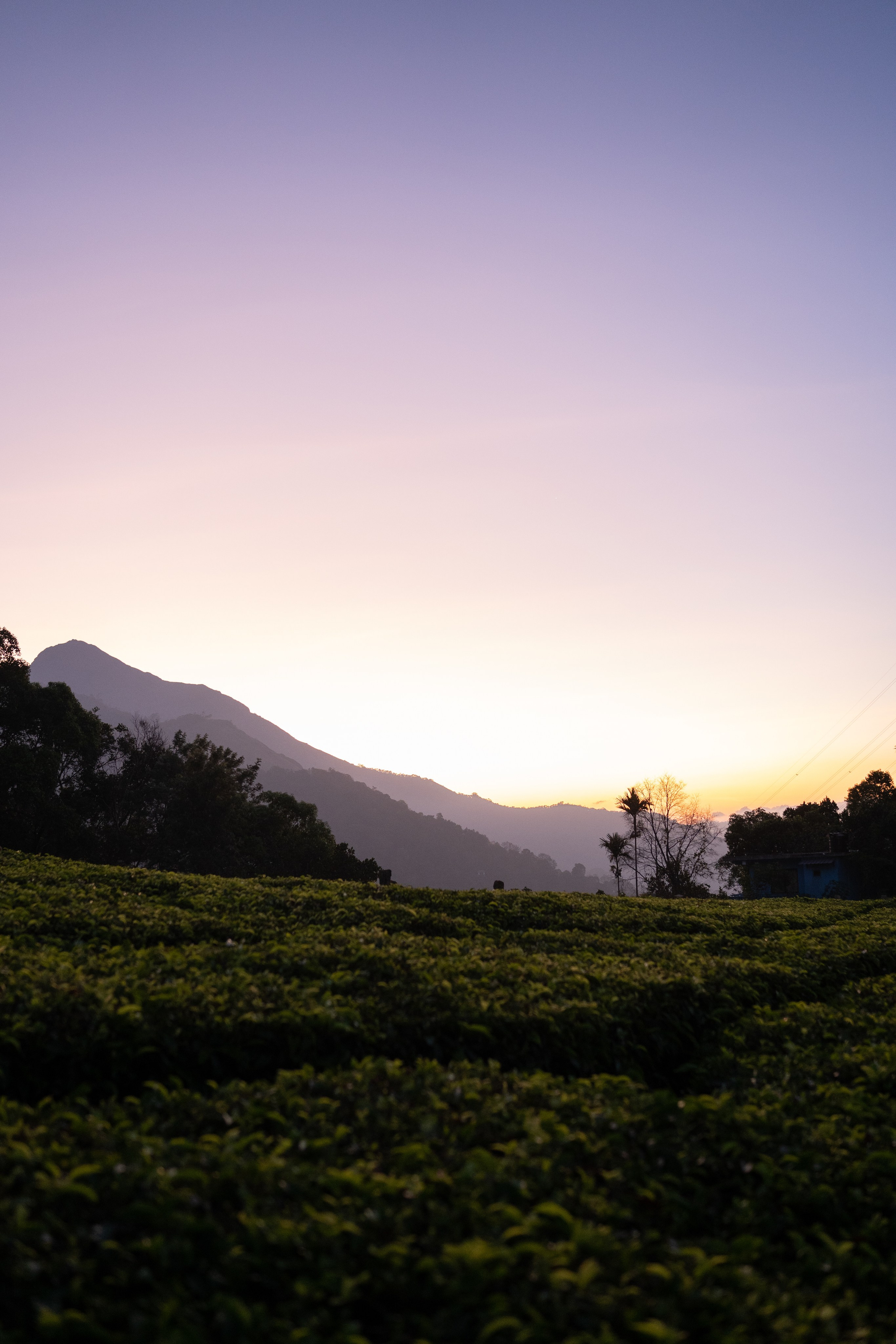 Greeshma & Vignesh. Agam Vizha
