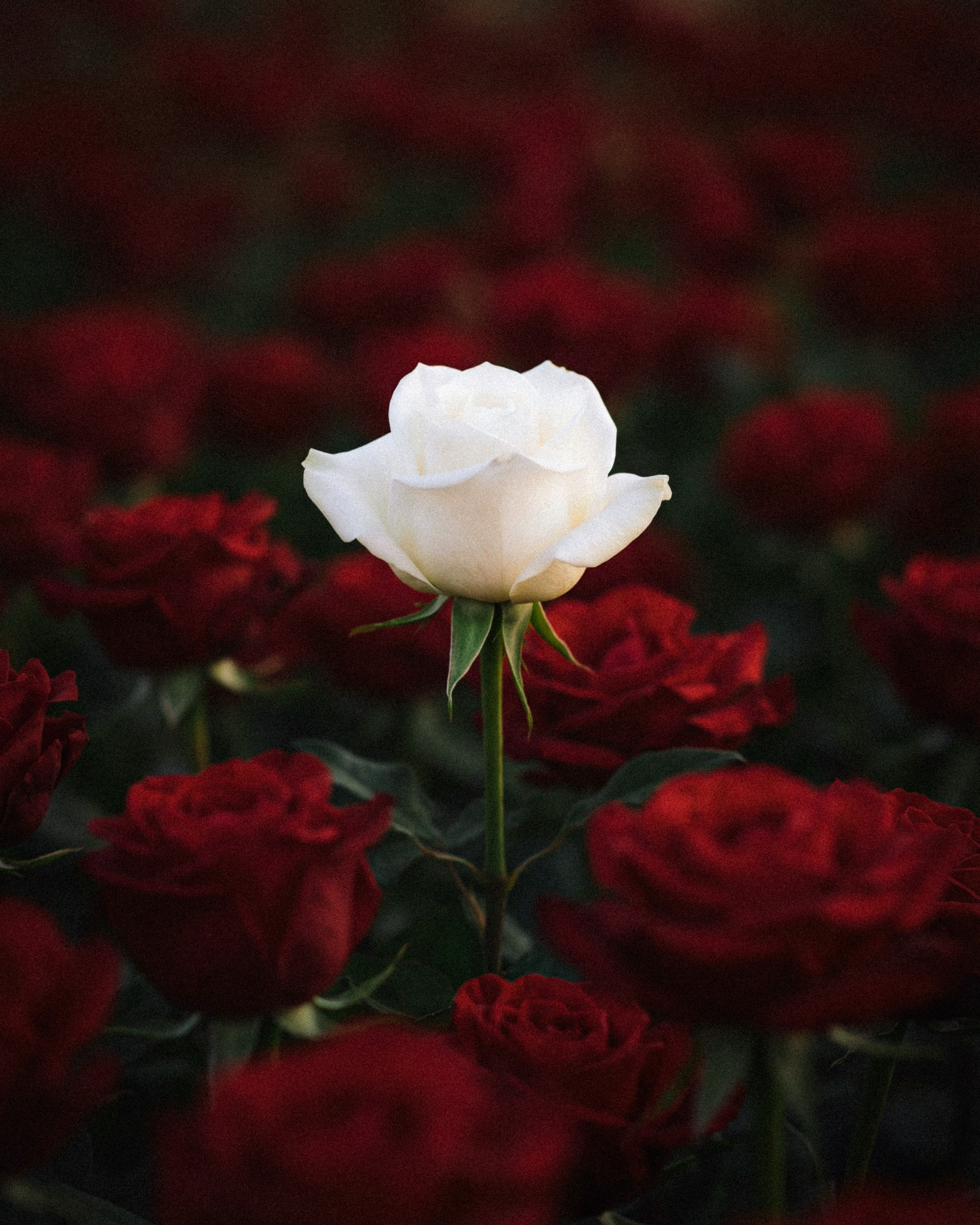 Photos of places around the World