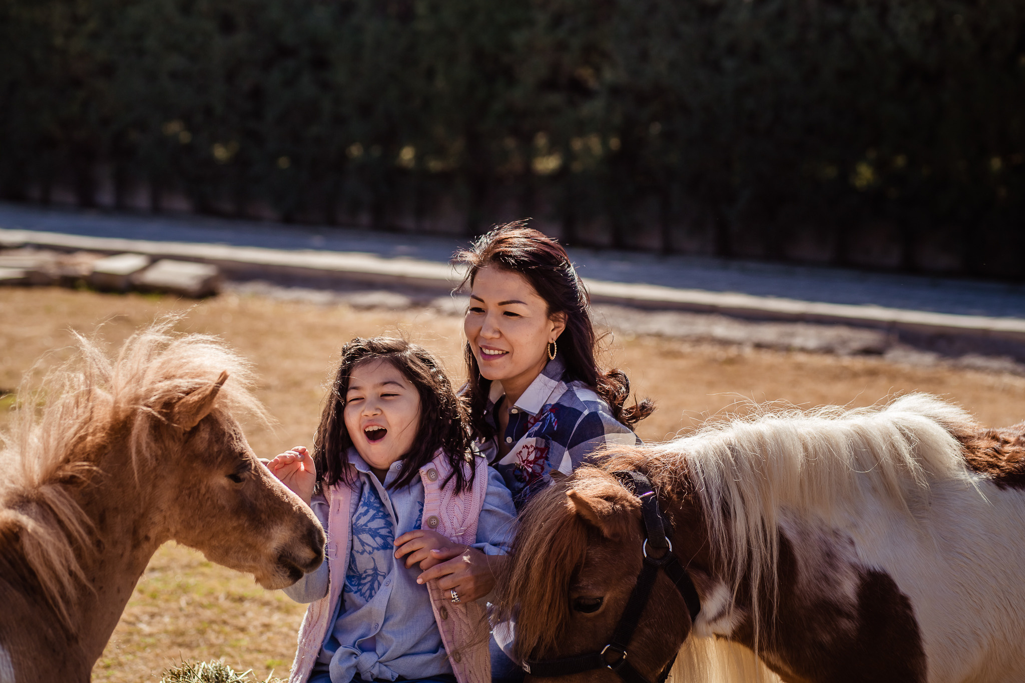 Family photo session on a farm in Urla