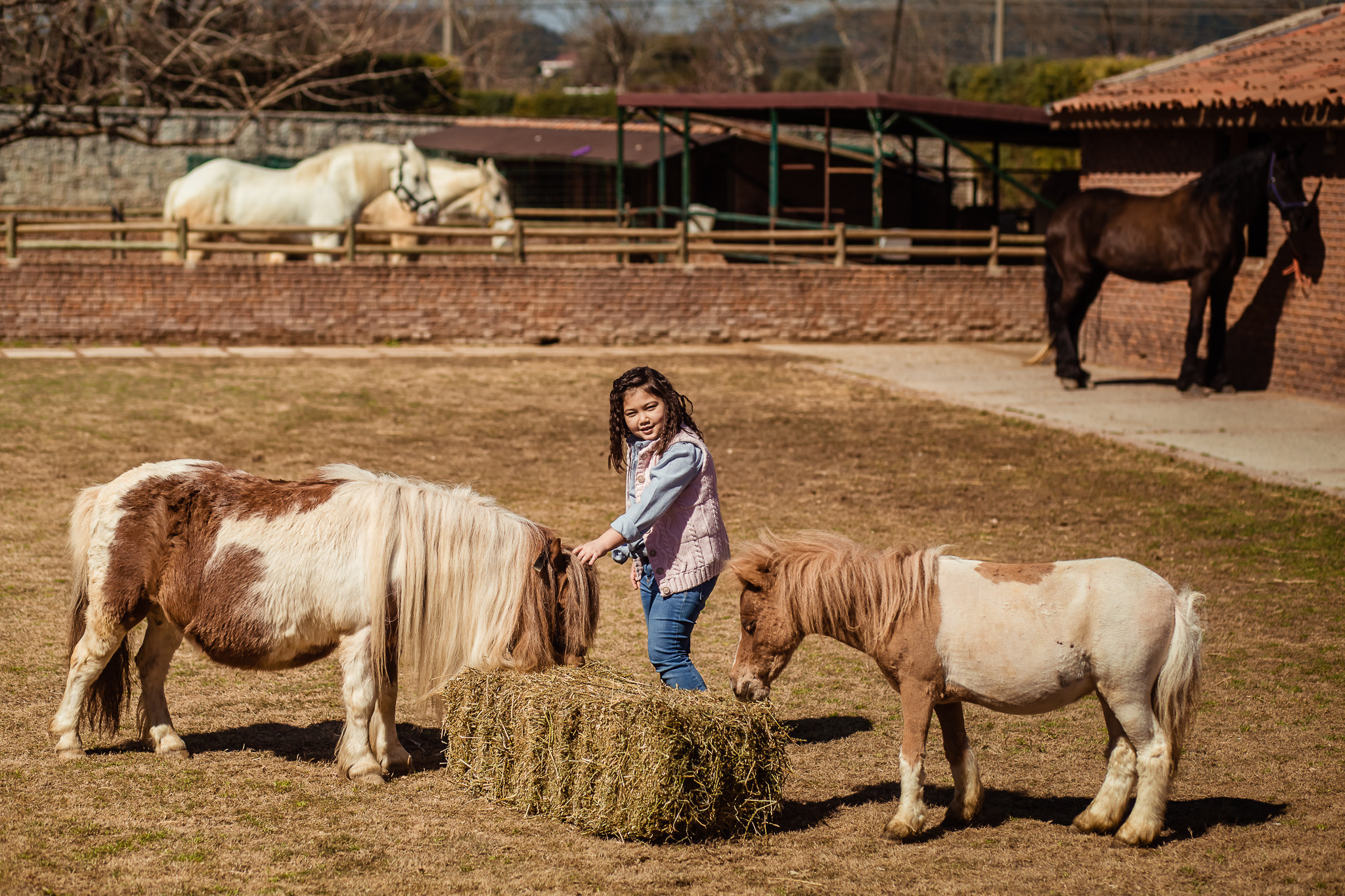Family photo session on a farm in Urla