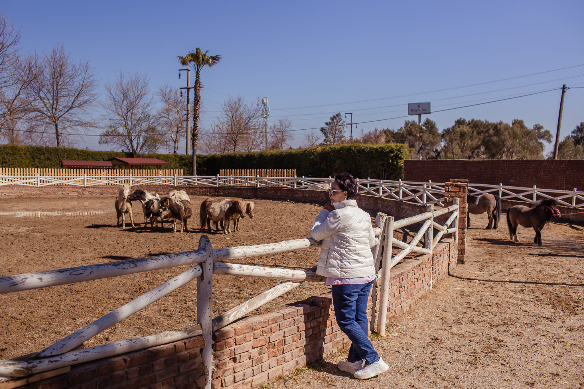 Family photo session on a farm in Urla