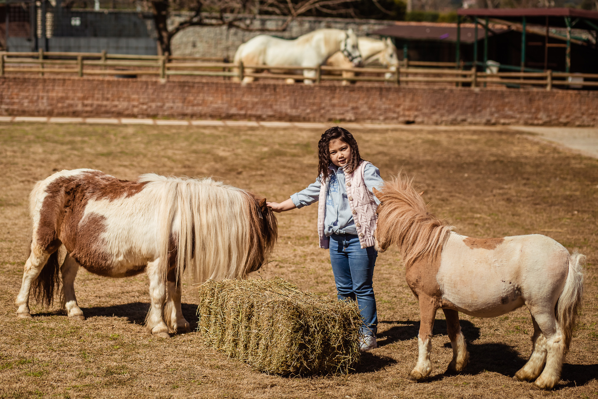 Family photo session on a farm in Urla