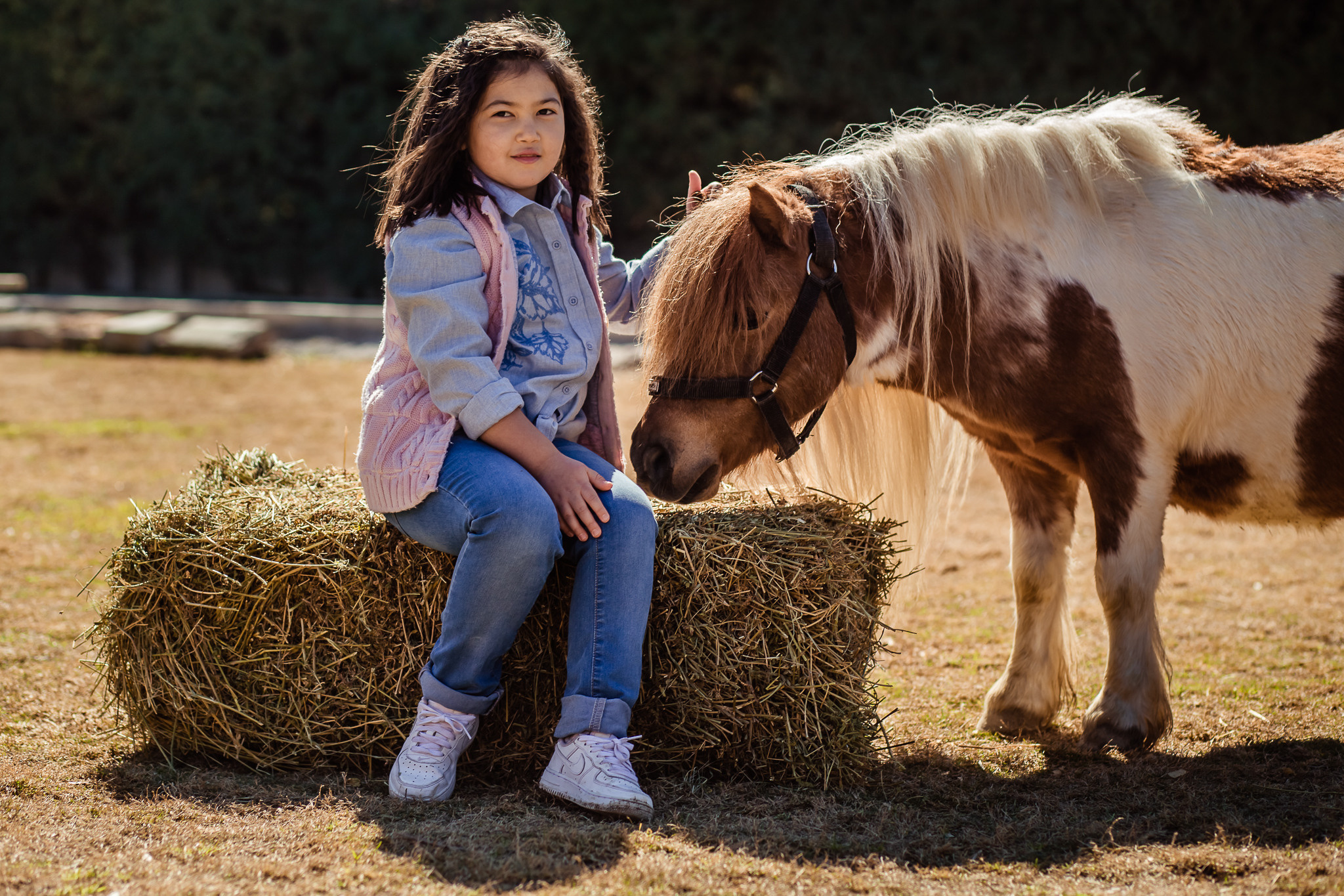 Family photo session on a farm in Urla