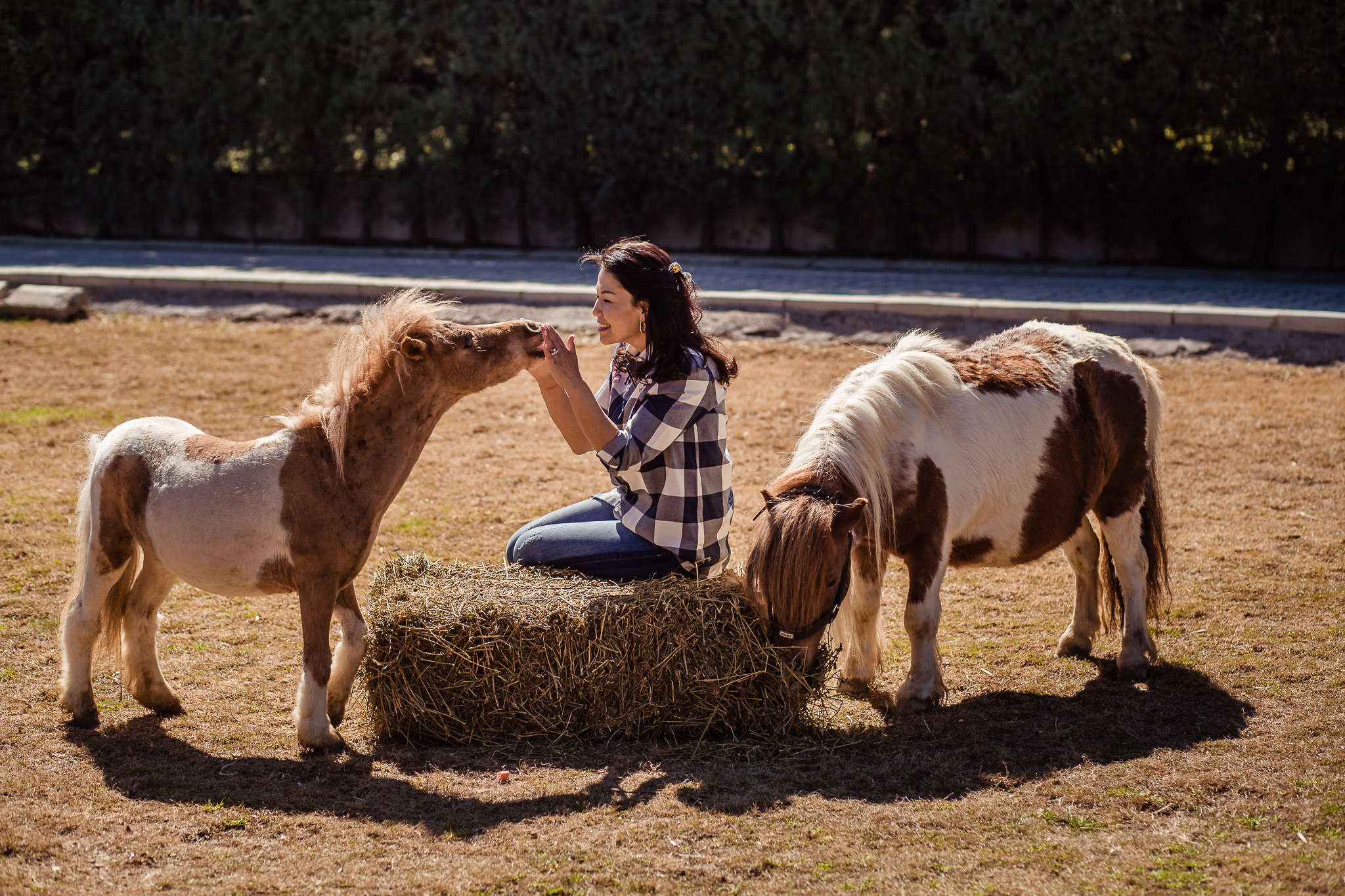 Family photo session on a farm in Urla