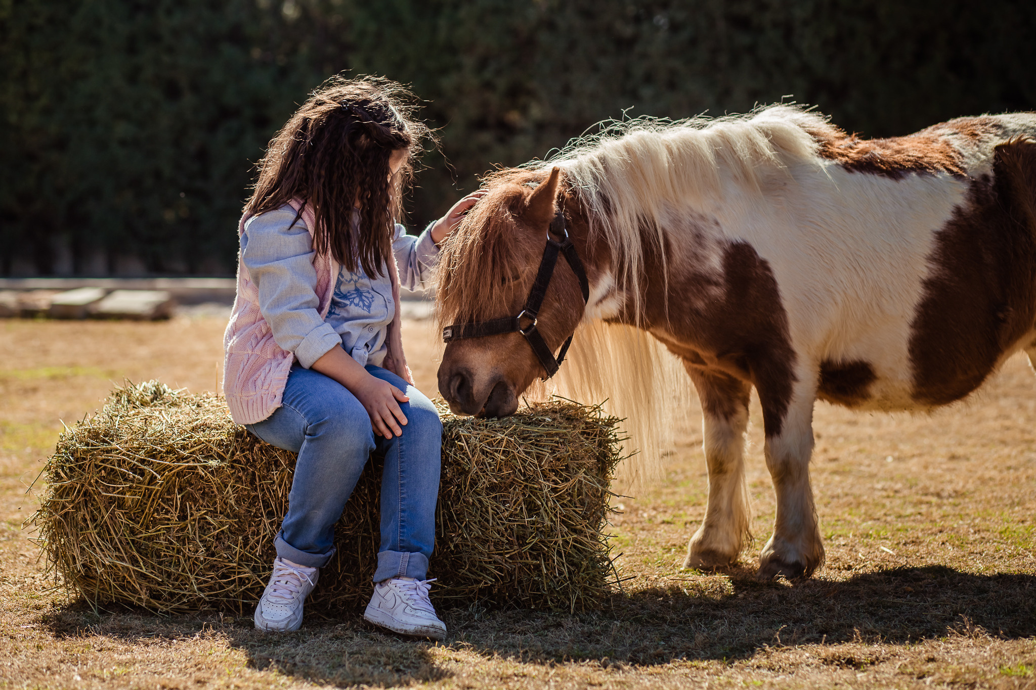 Family photo session on a farm in Urla