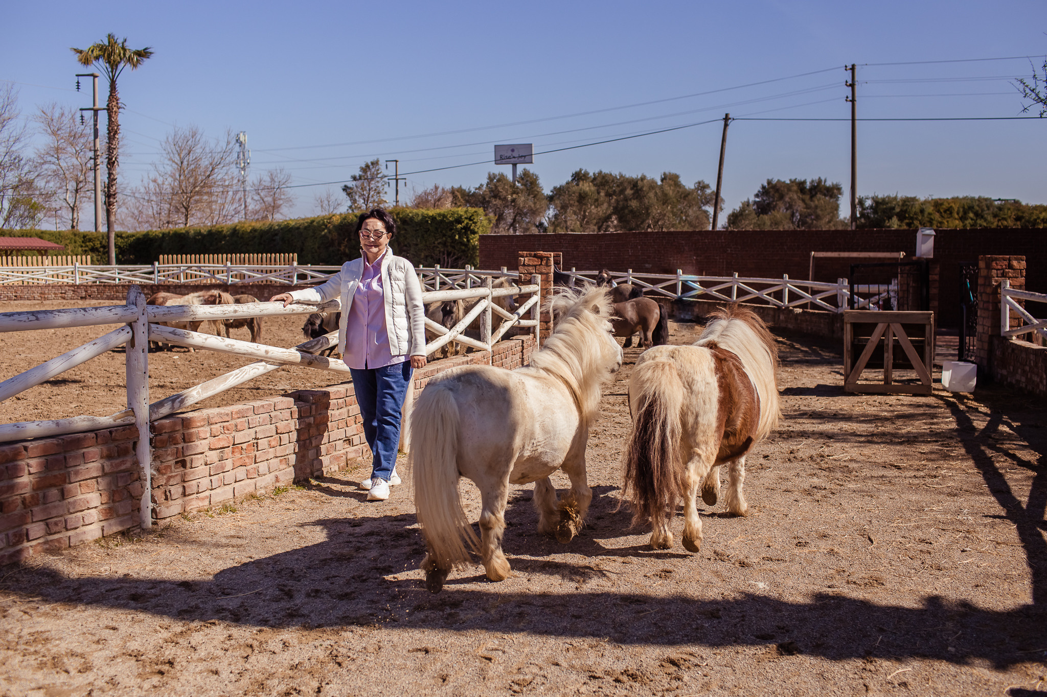 Family photo session on a farm in Urla