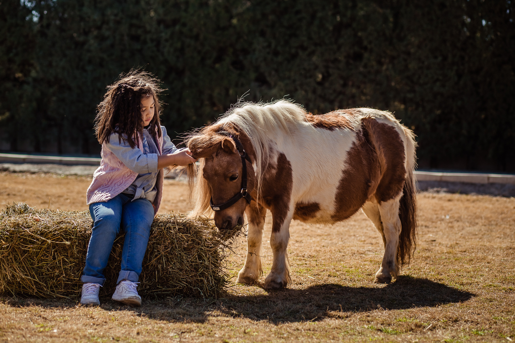 Family photo session on a farm in Urla