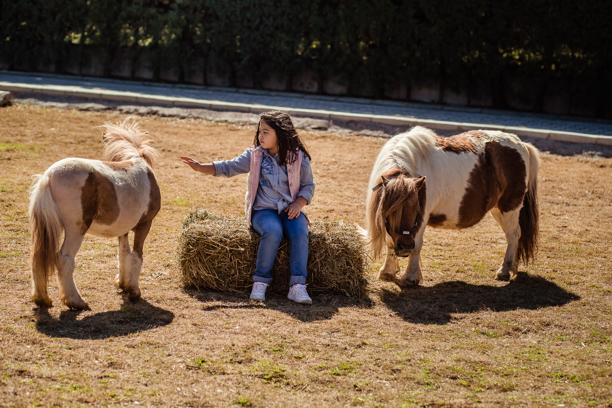 Family photo session on a farm in Urla