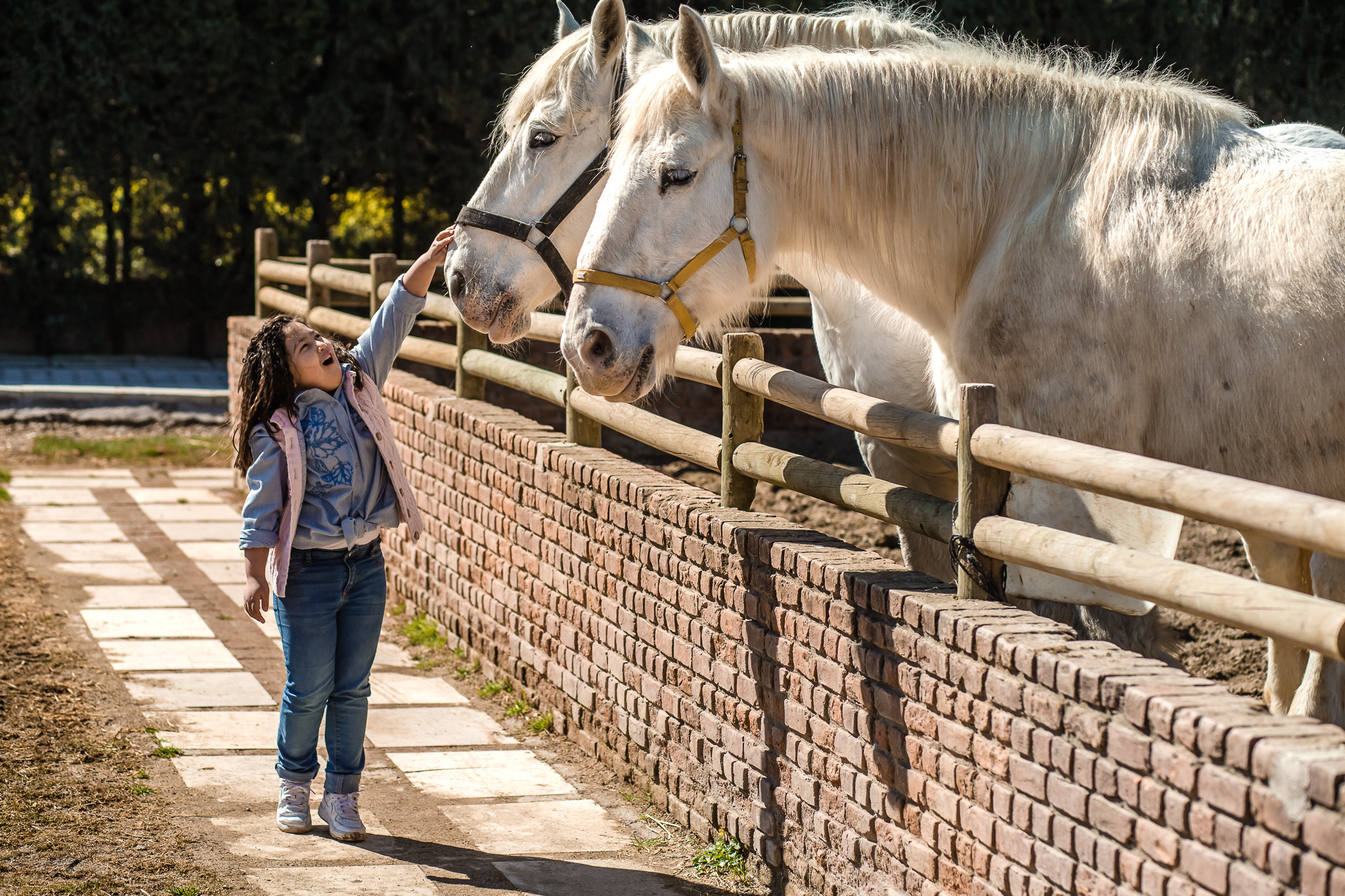 Family photo session on a farm in Urla