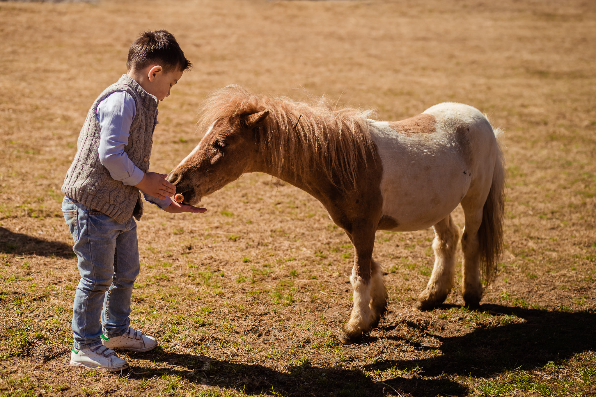 Family photo session on a farm in Urla