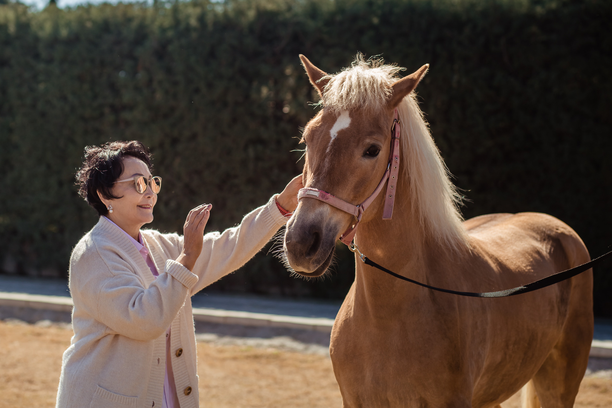 Family photo session on a farm in Urla