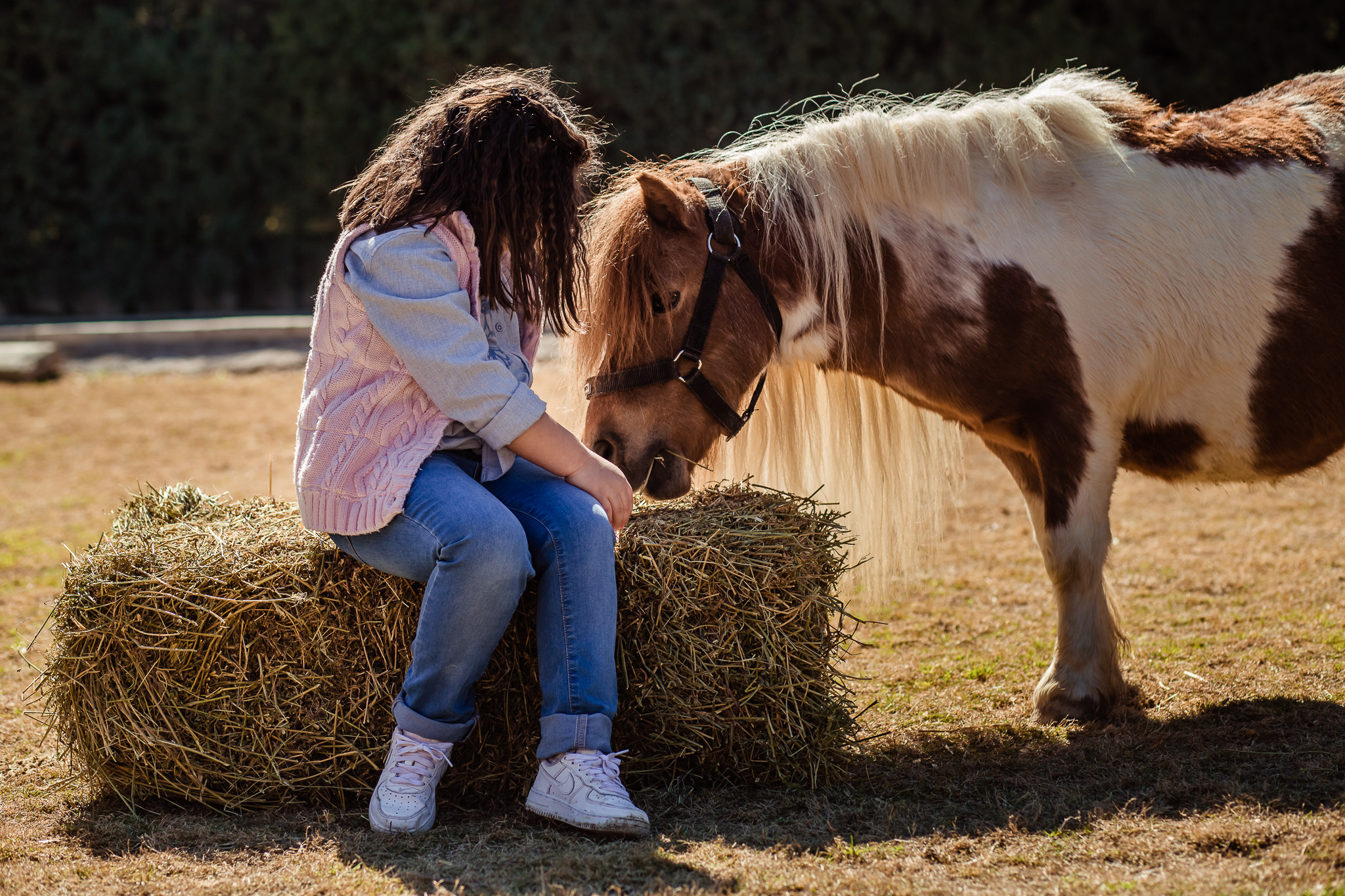 Family photo session on a farm in Urla