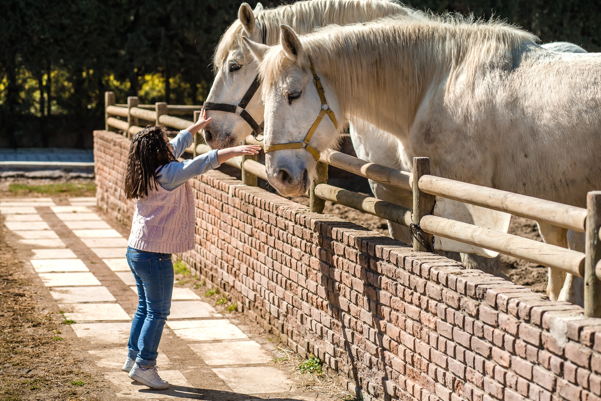 Family photo session on a farm in Urla