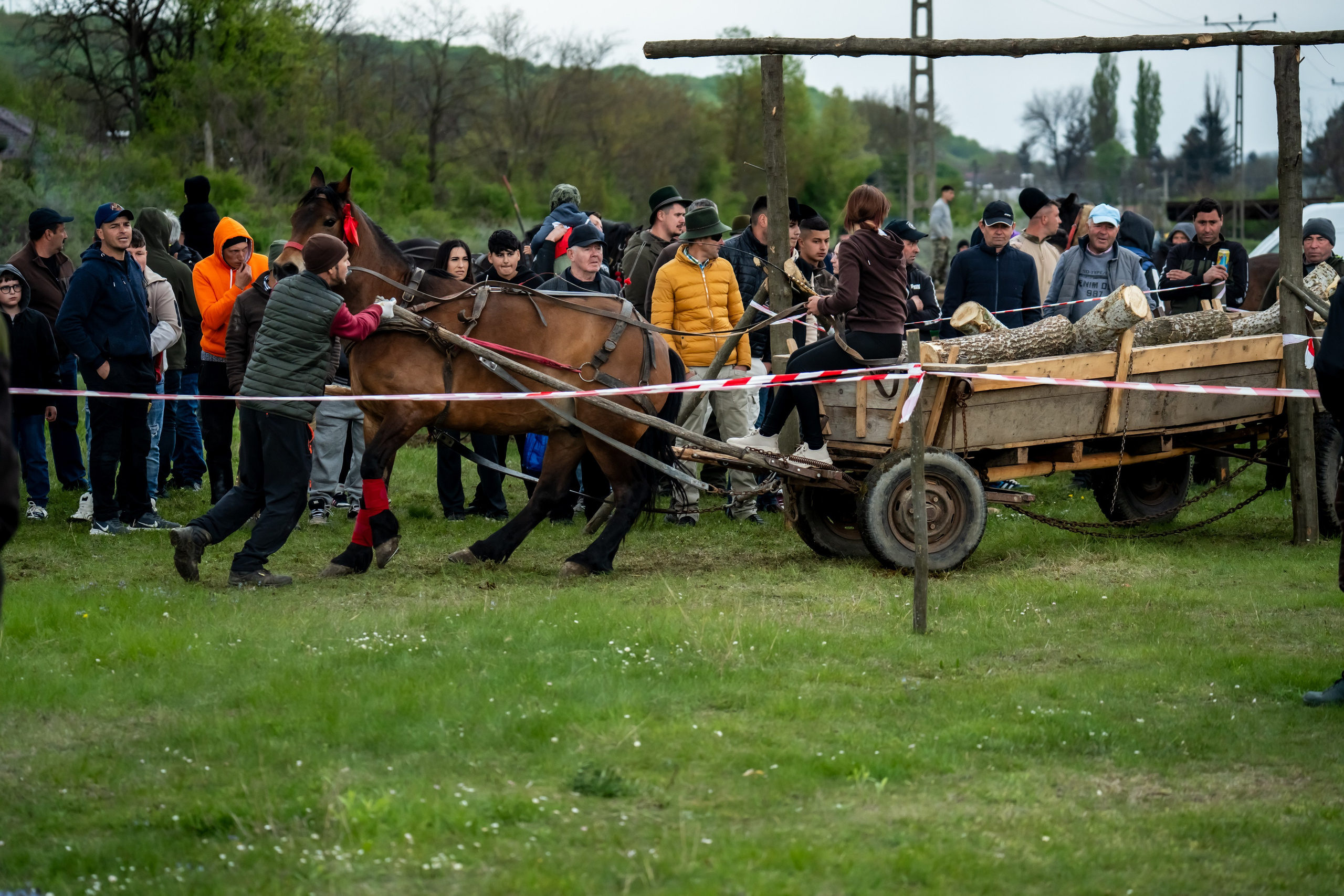 Concurs Ecvestru Vărbilău ediția a 4-a. Mihai Alexandra Events