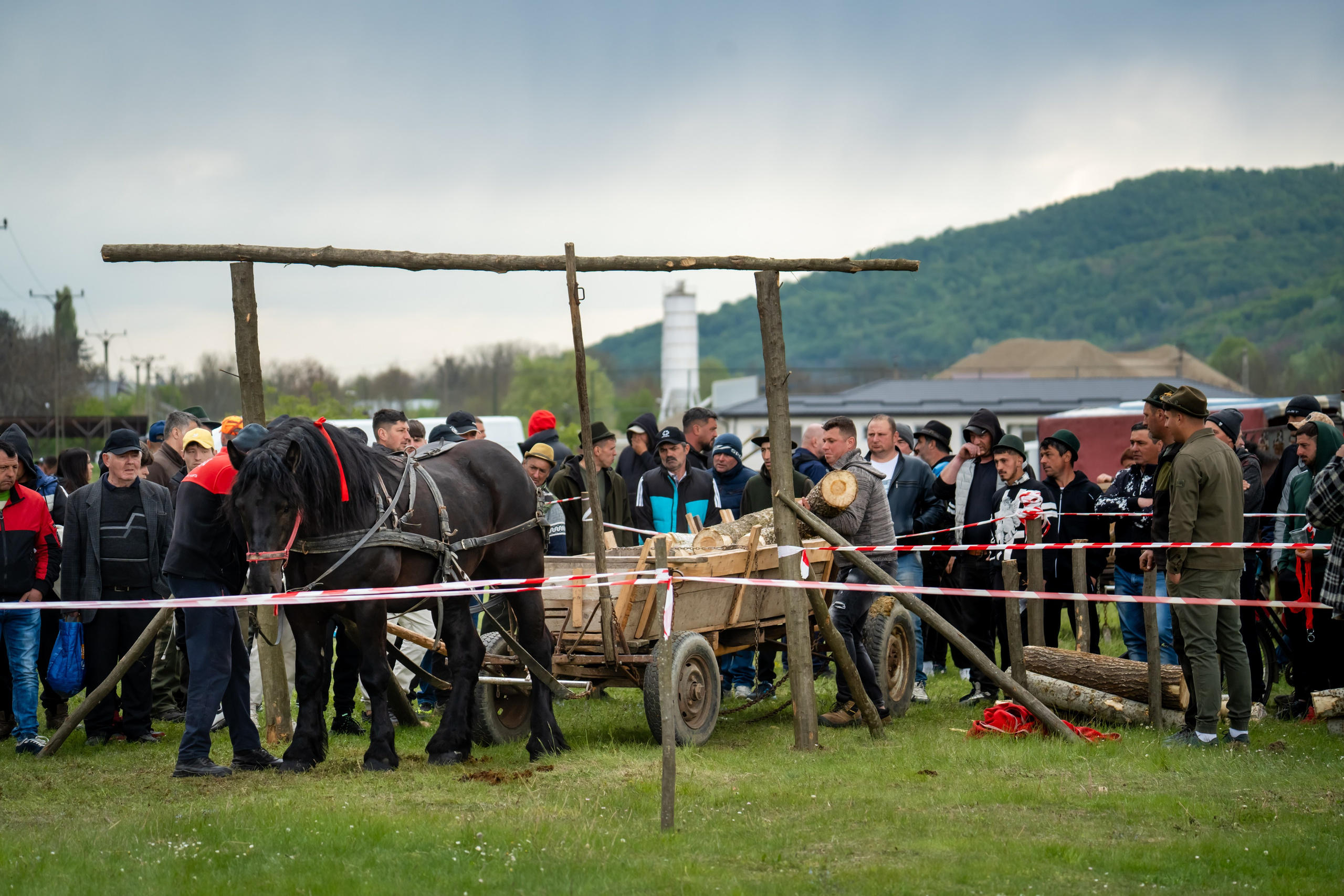 Concurs Ecvestru Vărbilău ediția a 4-a. Mihai Alexandra Events
