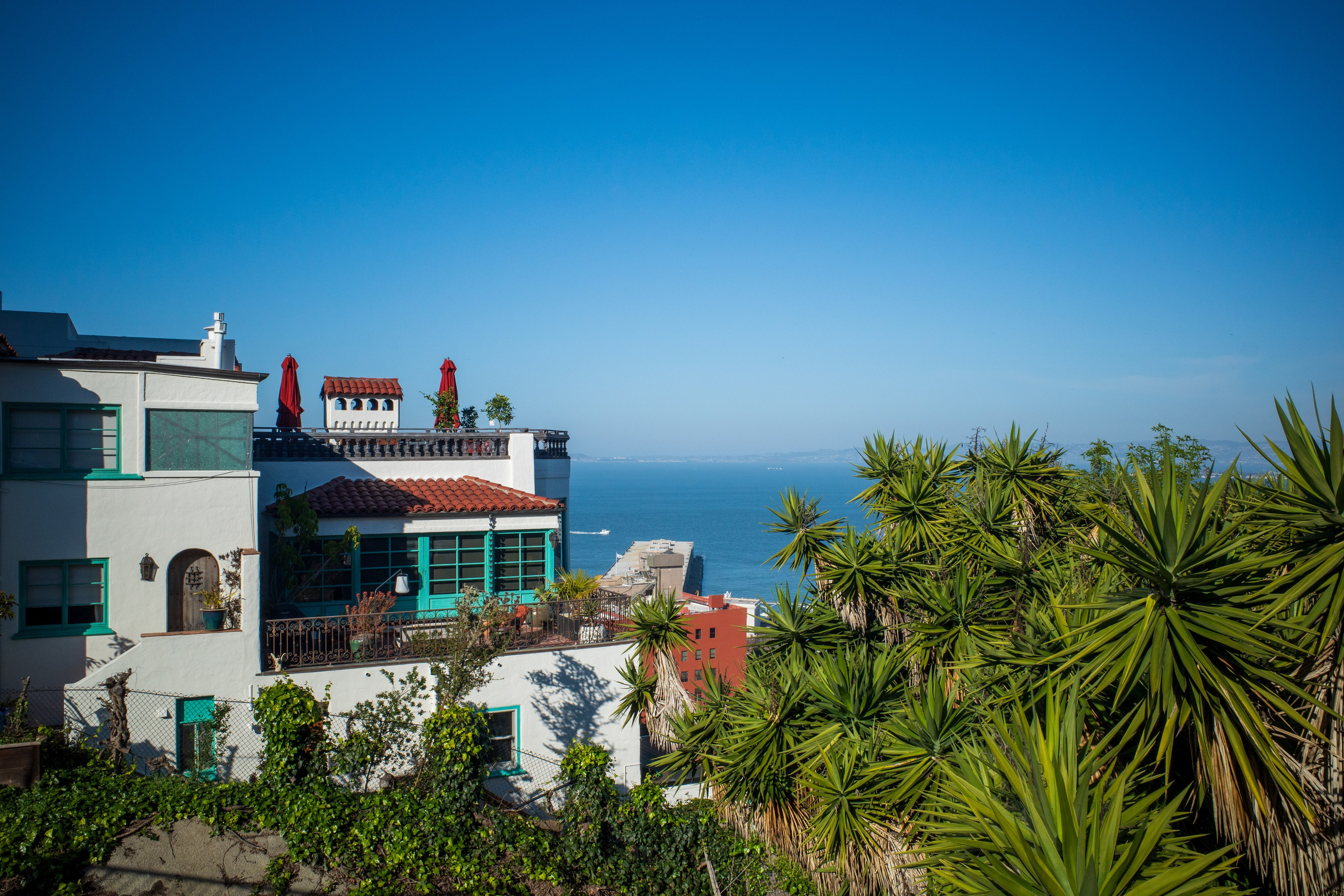 San Francisco. Aleks.photo | Book a photoshoot