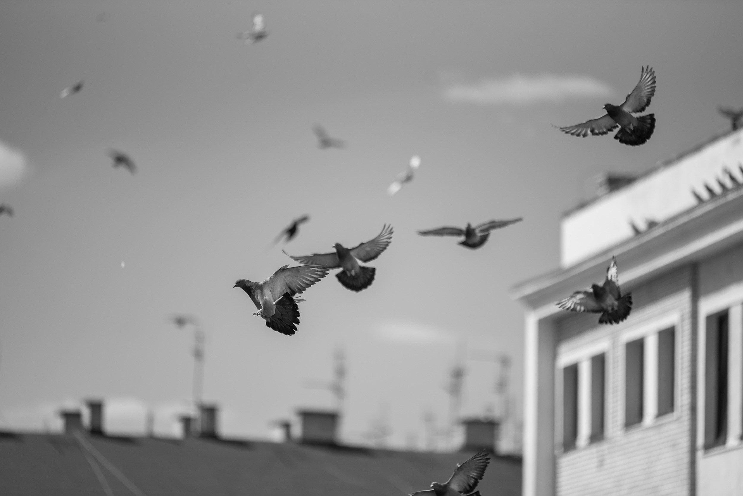 Lublin. Photographer in Yerevan