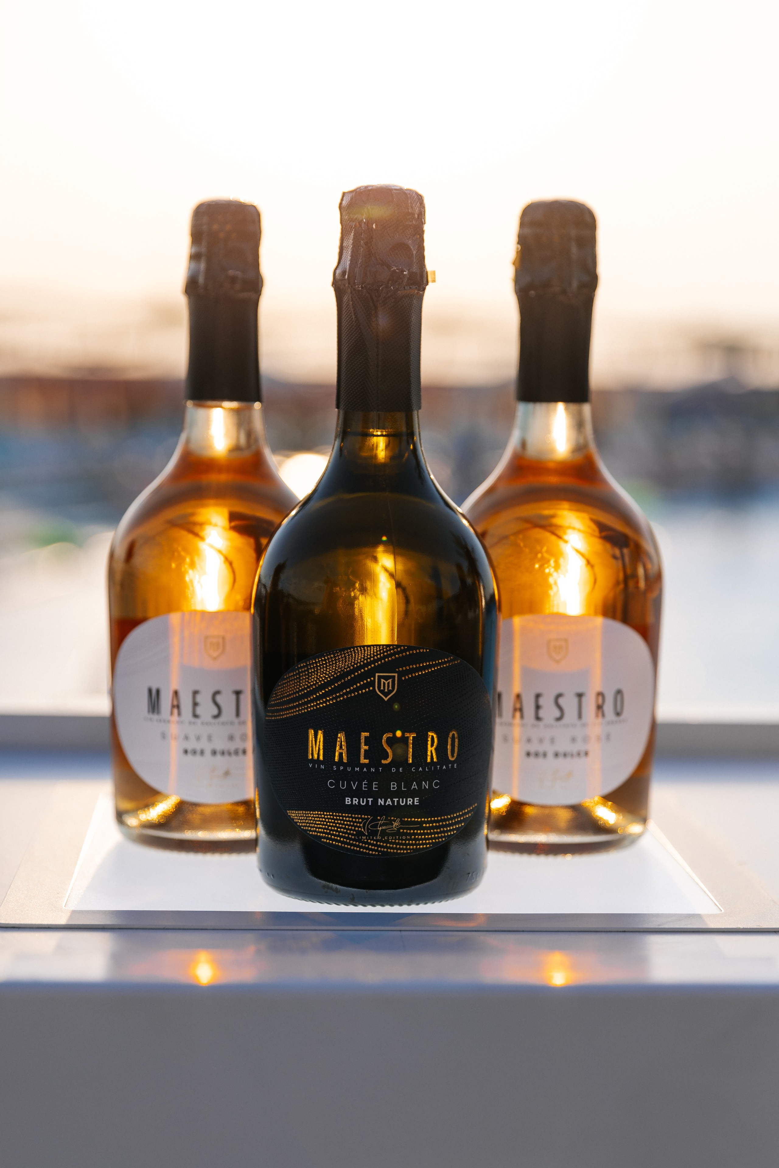 TOP SEXY — VIP MAGAZIN. Fulga Photographer