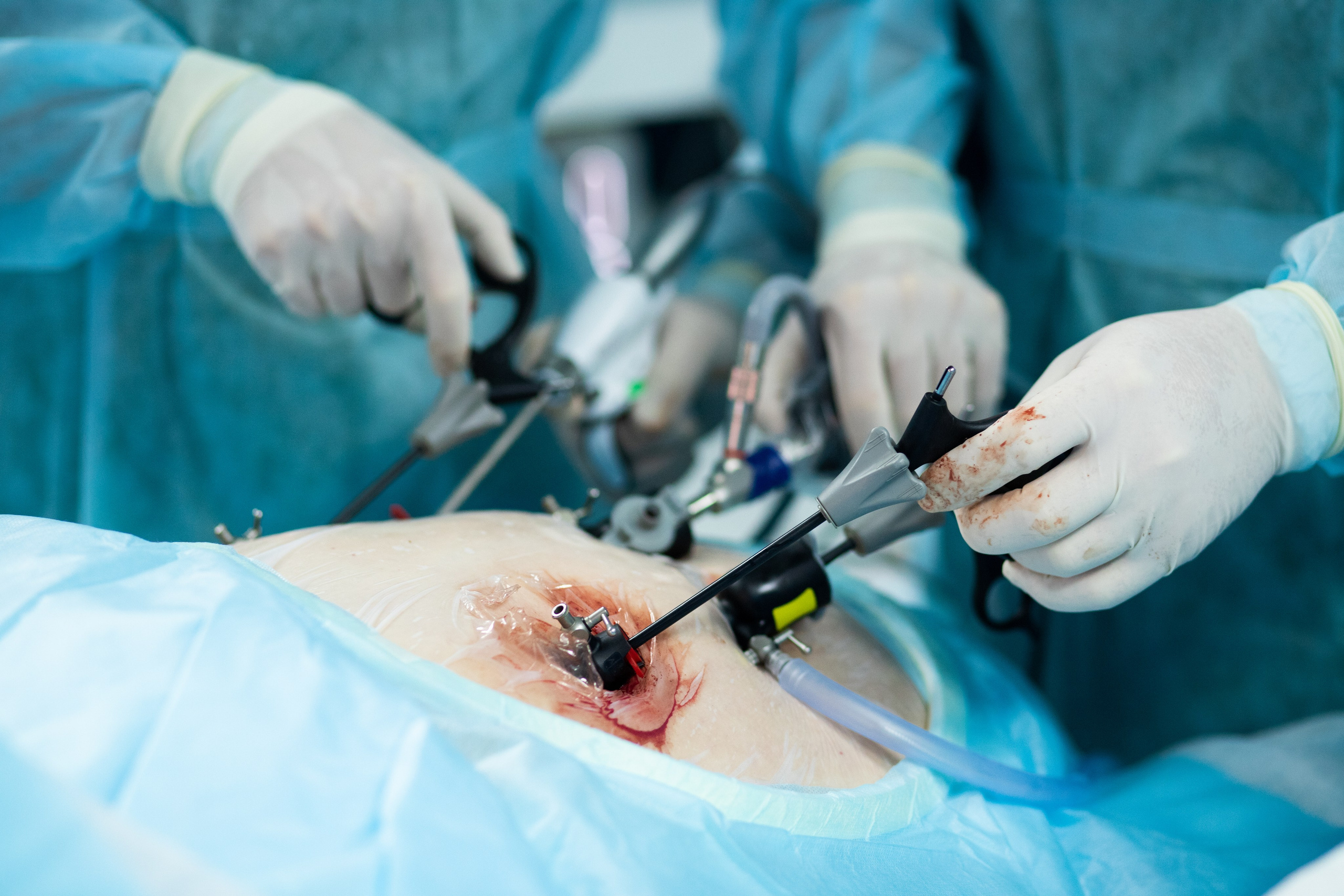 Business. Portrait and family photographer in Fort Collins Dania Gaisina