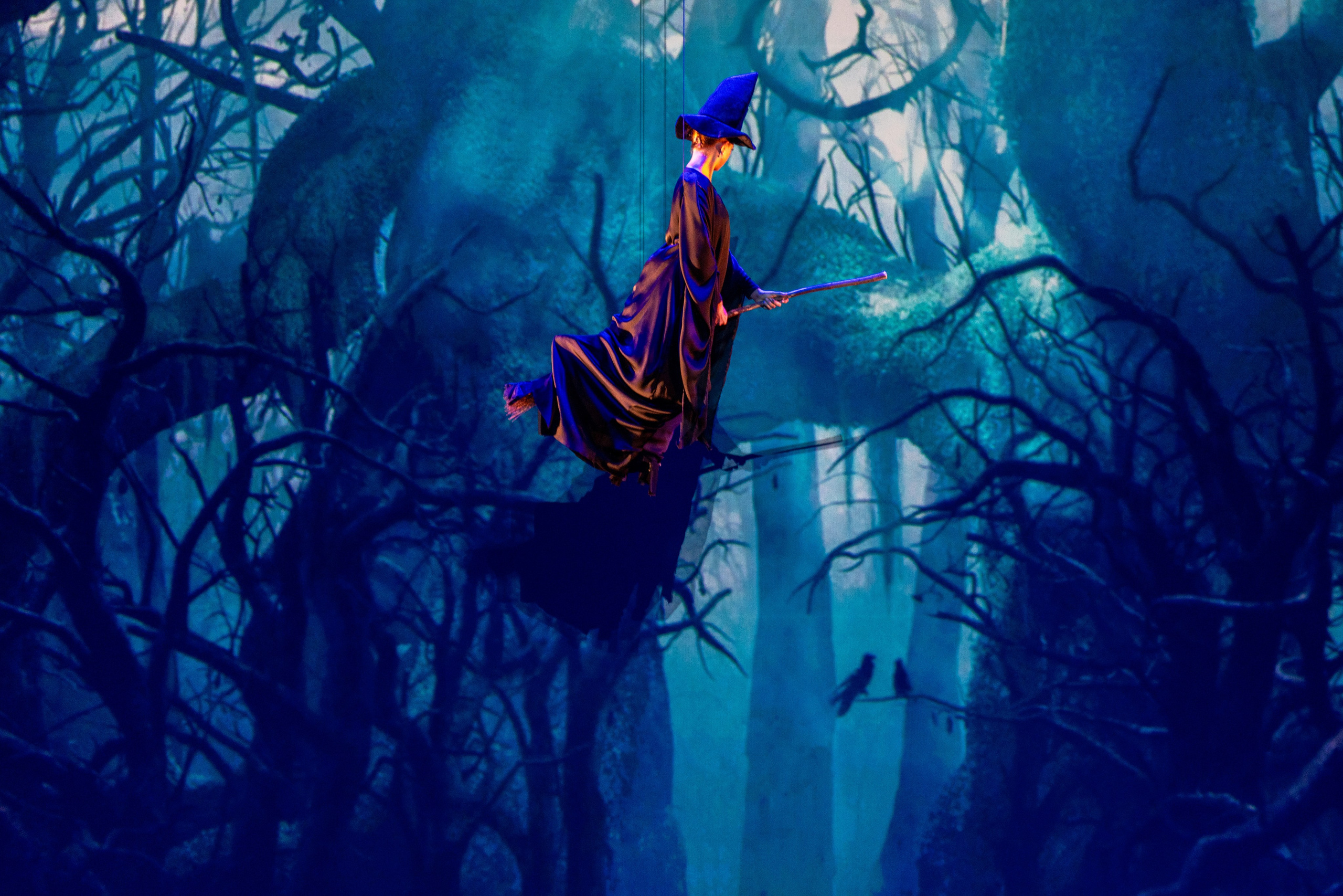 Ballet Photographer Los Angeles. Santa Clarita Photographer