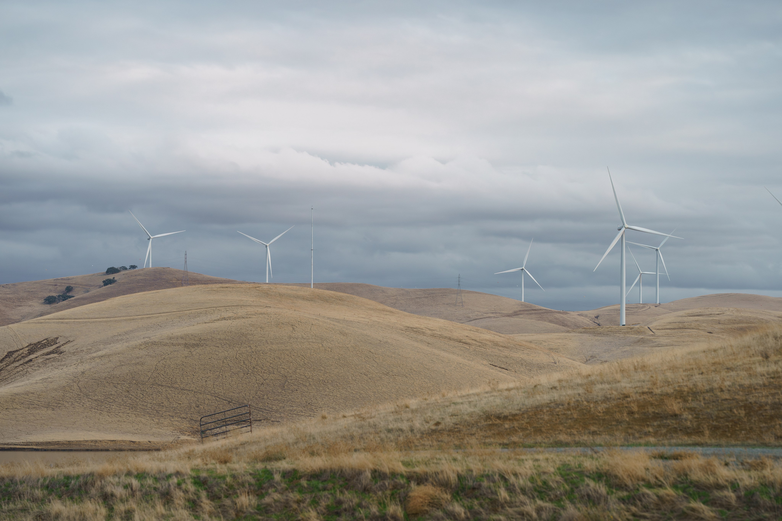 Los Vaqueros Reservoir. Tatiana Smirnova — Photographer