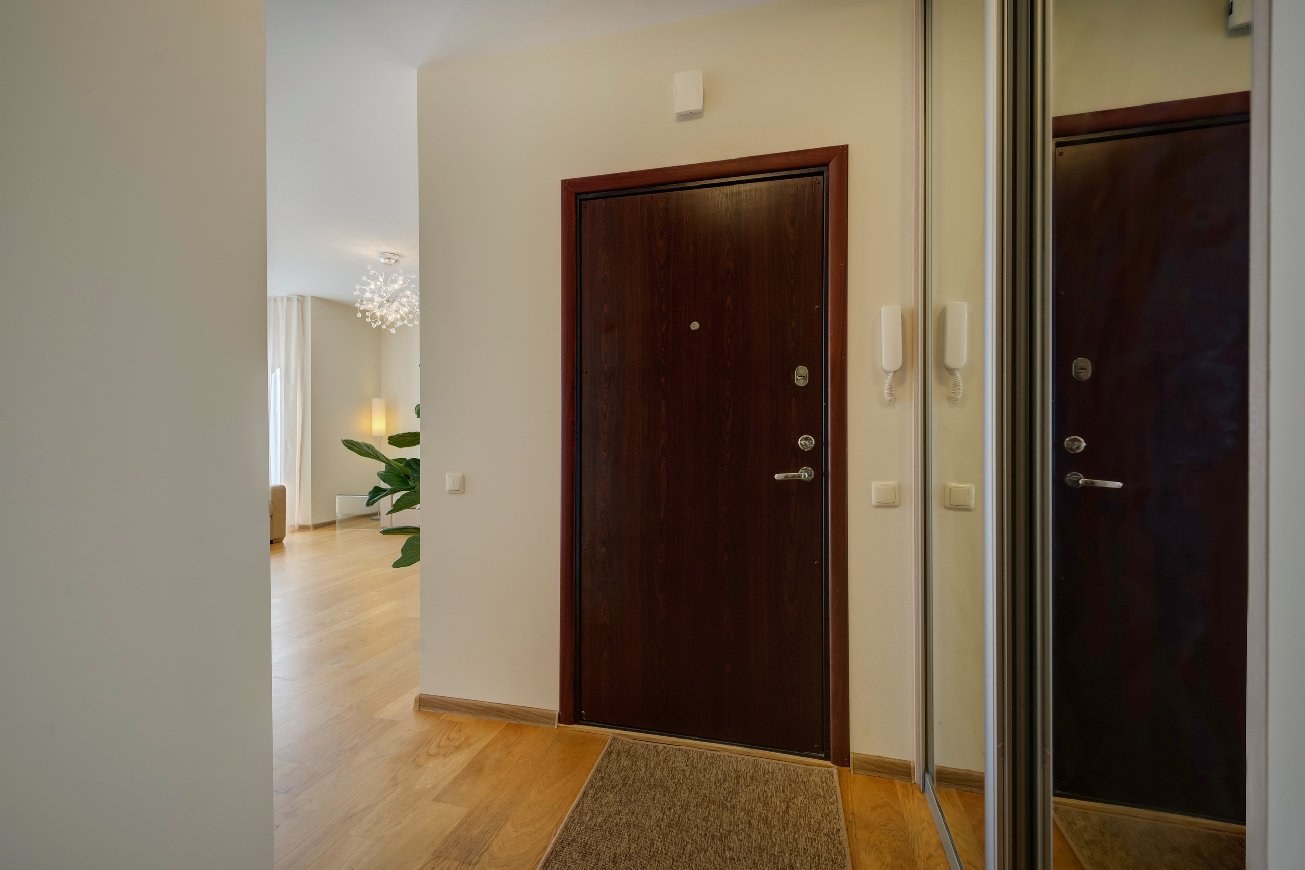 Franko g. 12. Elina Sapiega fotografė Vilniuje