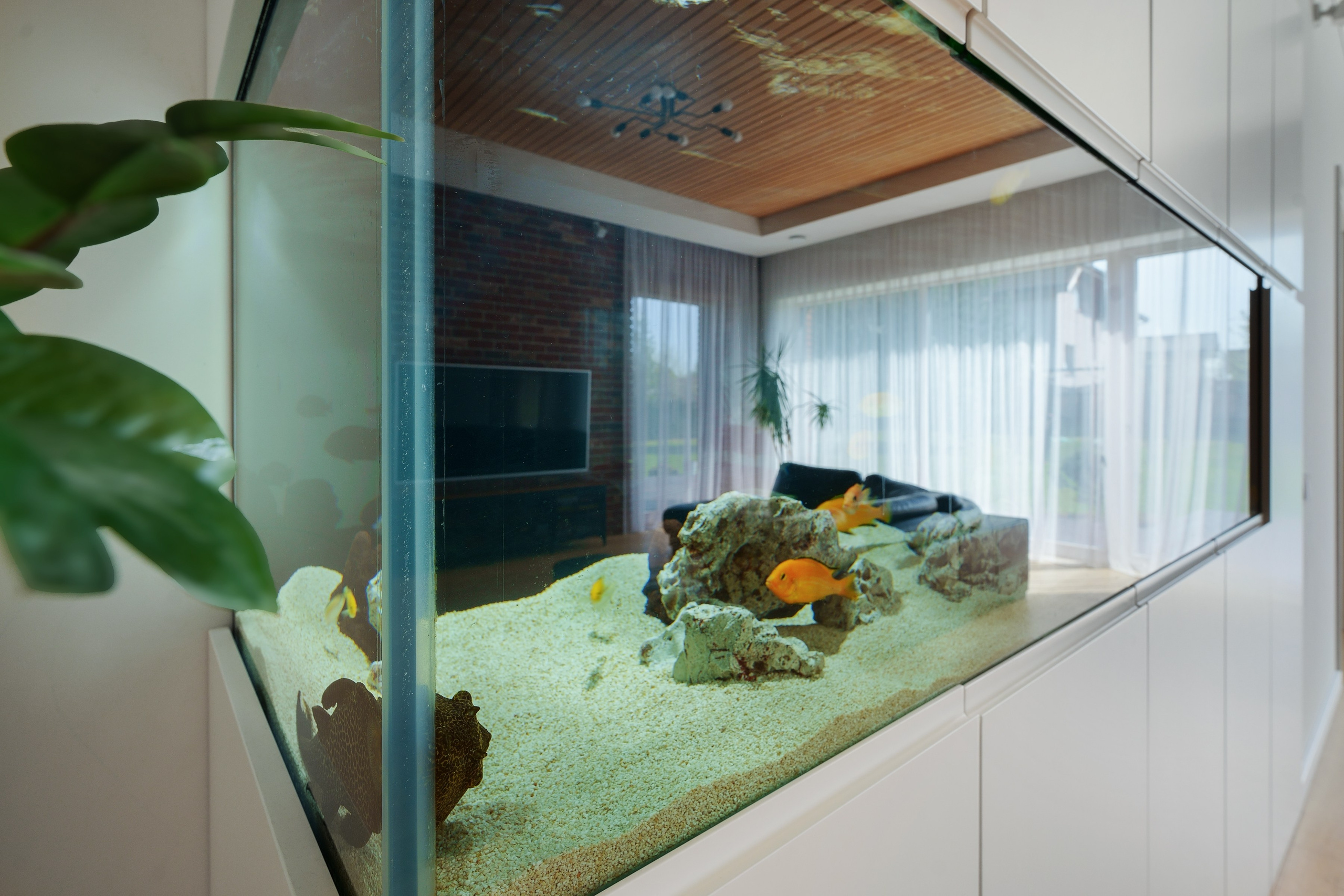 Riešė, namas. Elina Sapiega fotografė Vilniuje