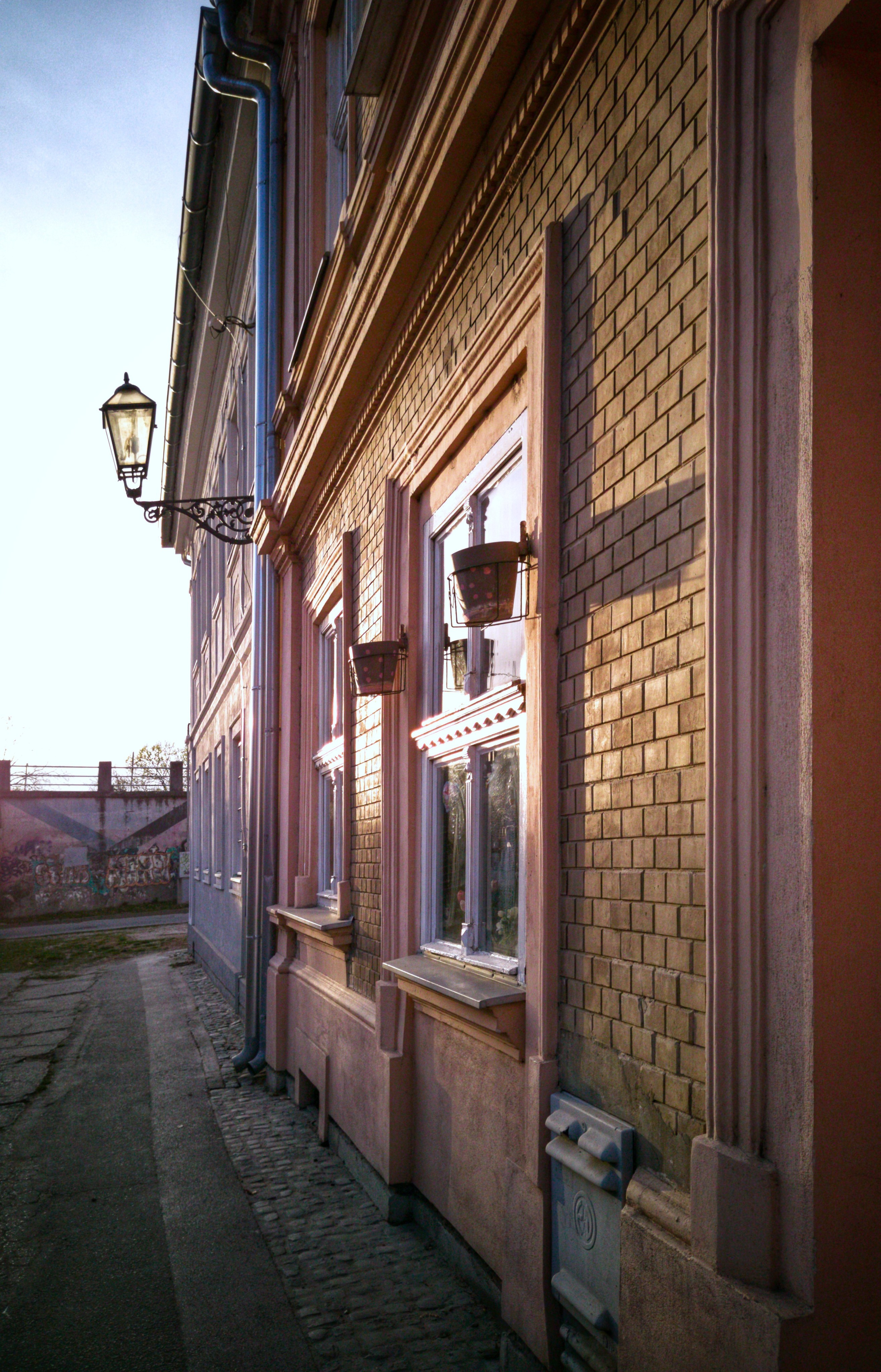 Петроварадин - галерија на продају. Викторија Федосеенко, фотограф у Србији