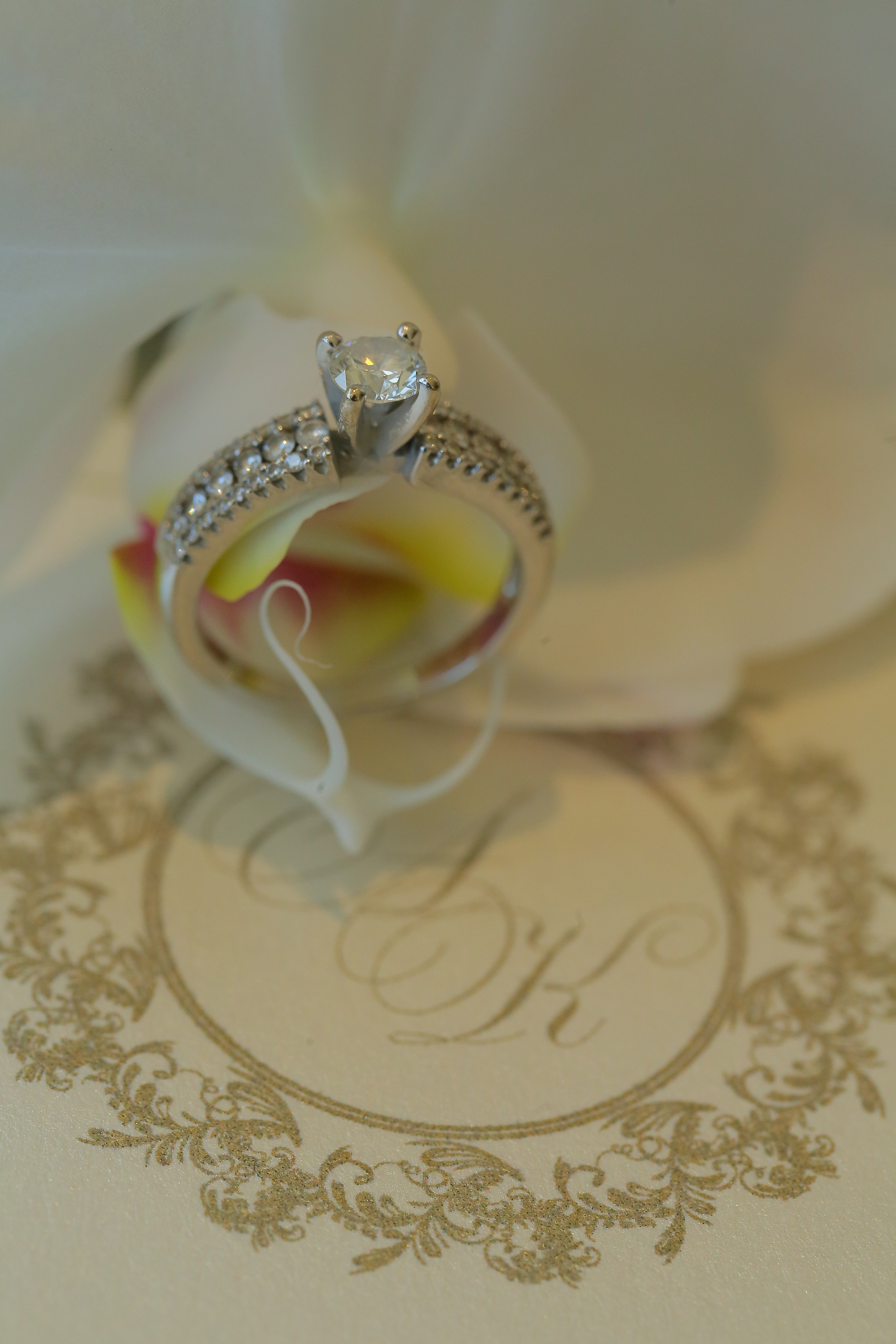 Koral & Ariel. Wedding and events photographers Studio Shalom