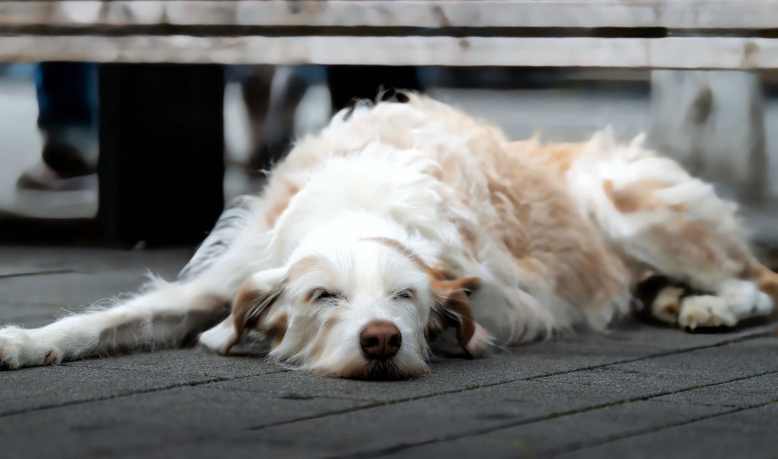 ЭДУАРД МУЗЫКАНТ. LUKIN IGOR Photography