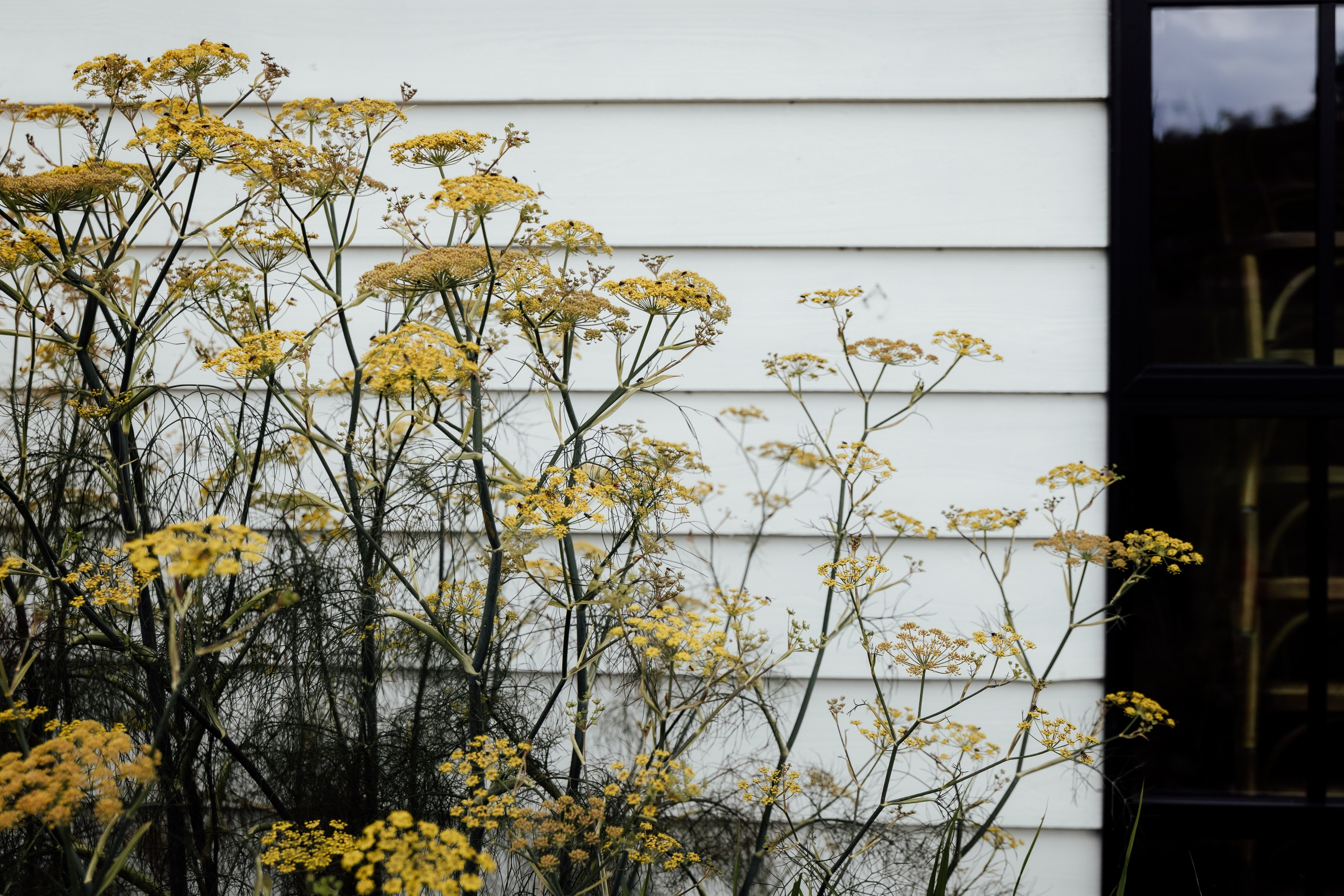 Limekiln, East Sussex, UK. 2025. Timeless Wedding & Event Photography — based London, working across Europe