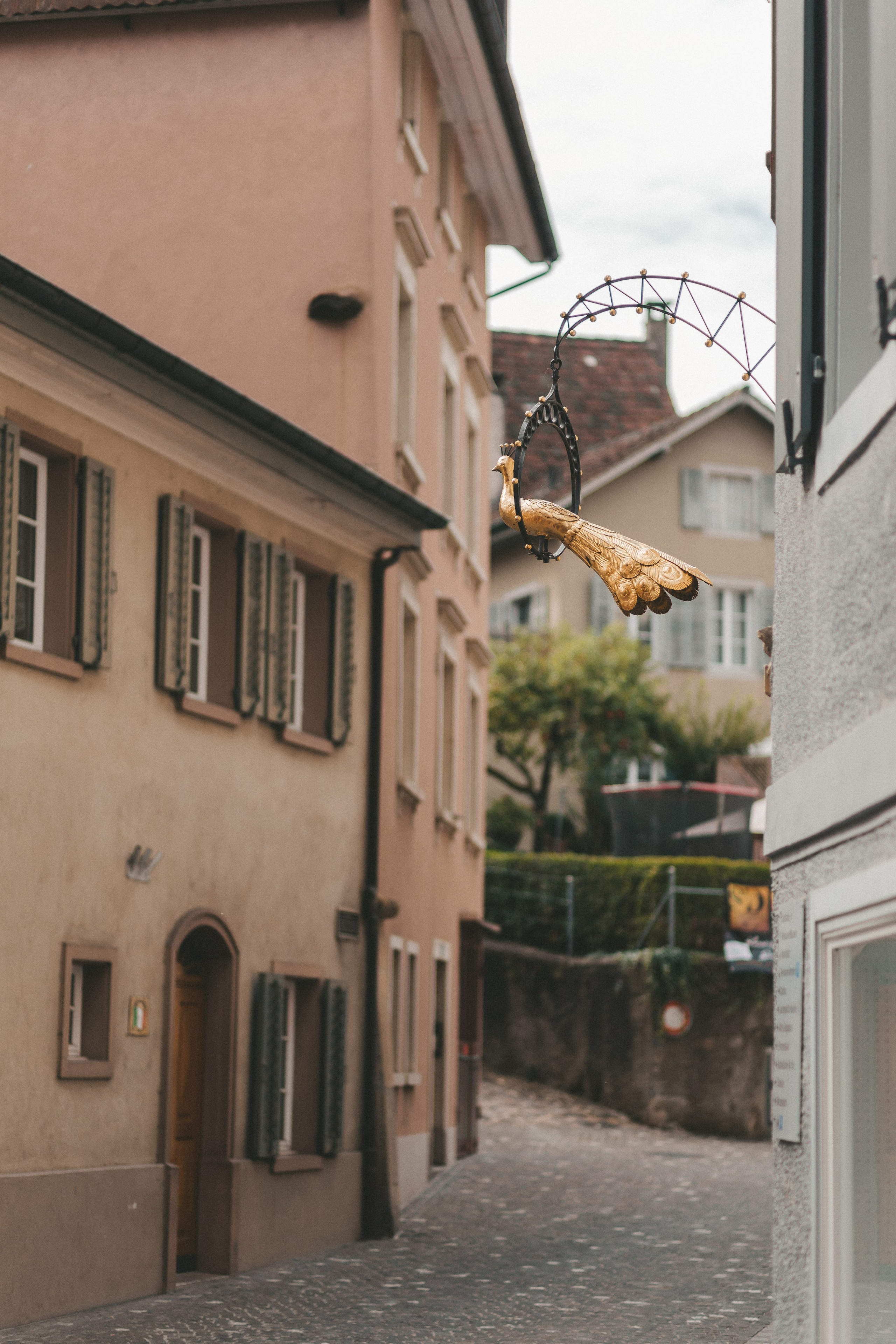Лауфенбург: две страны — один город. Фотограф в Германии — Мария Чистякова