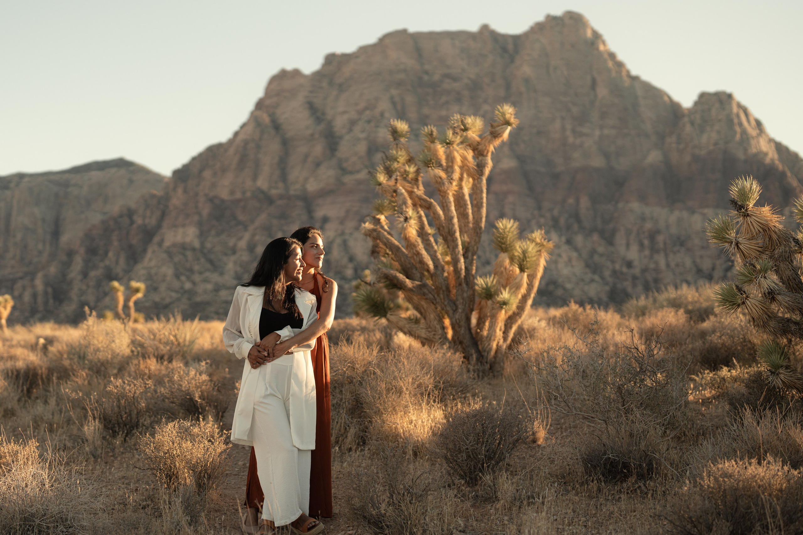 Liz&Fatima. Wedding & elopement photographer Viktoriya Kravtsov. Las Vegas