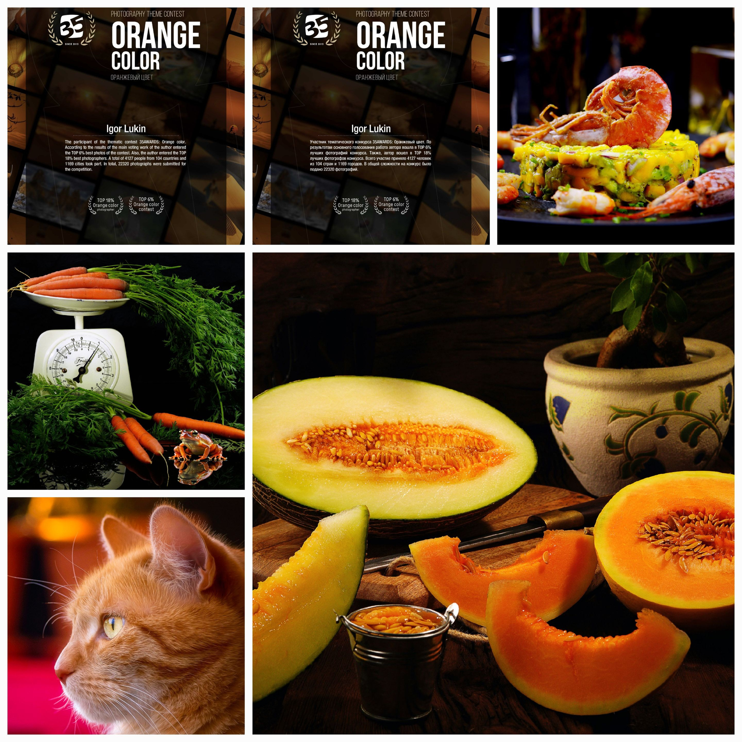 Orange color contest Оранжевый цвет. LUKIN IGOR Photography