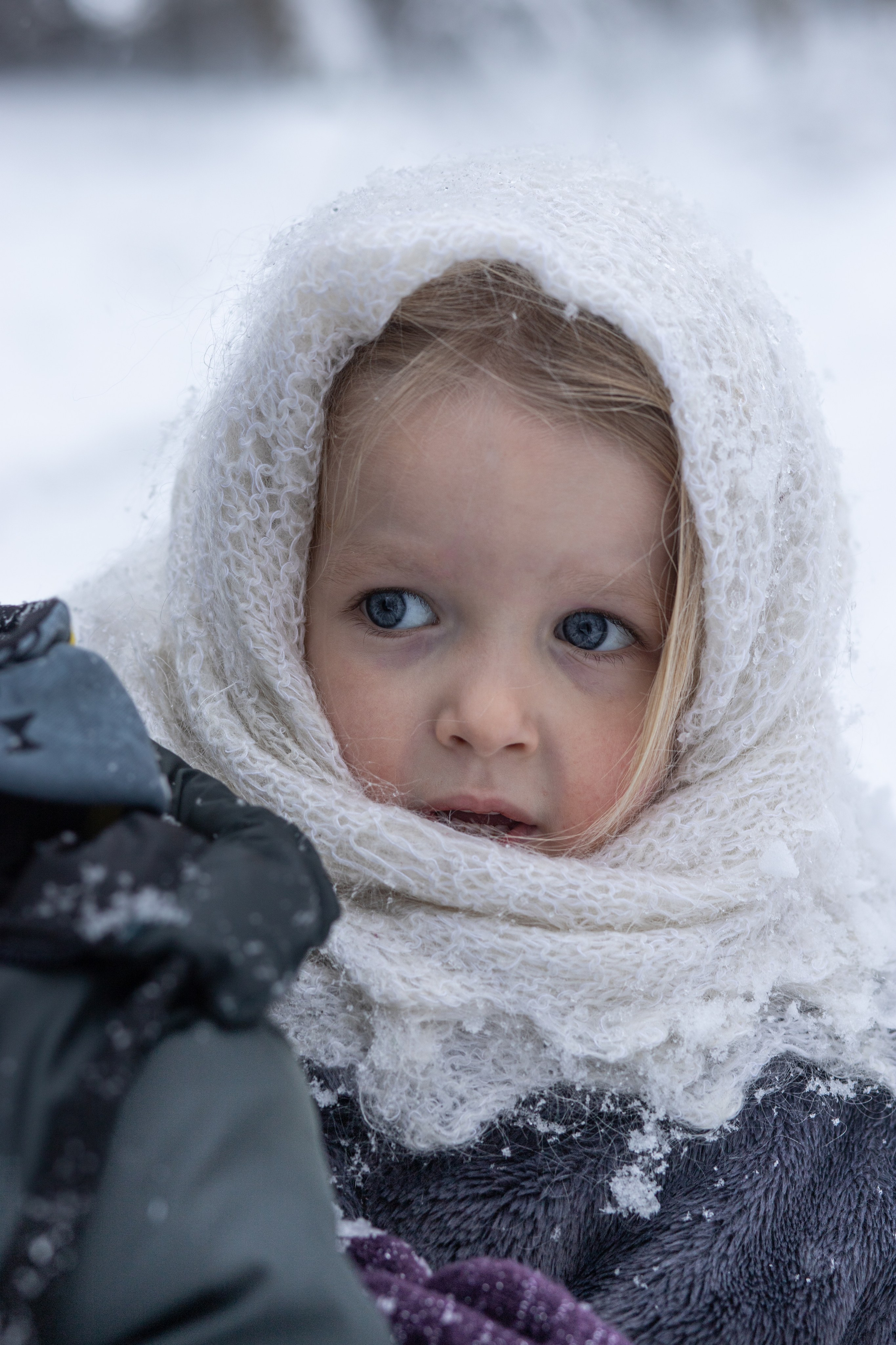 Ein Weihnachtsmärchen. Olena Fritz Fotografie