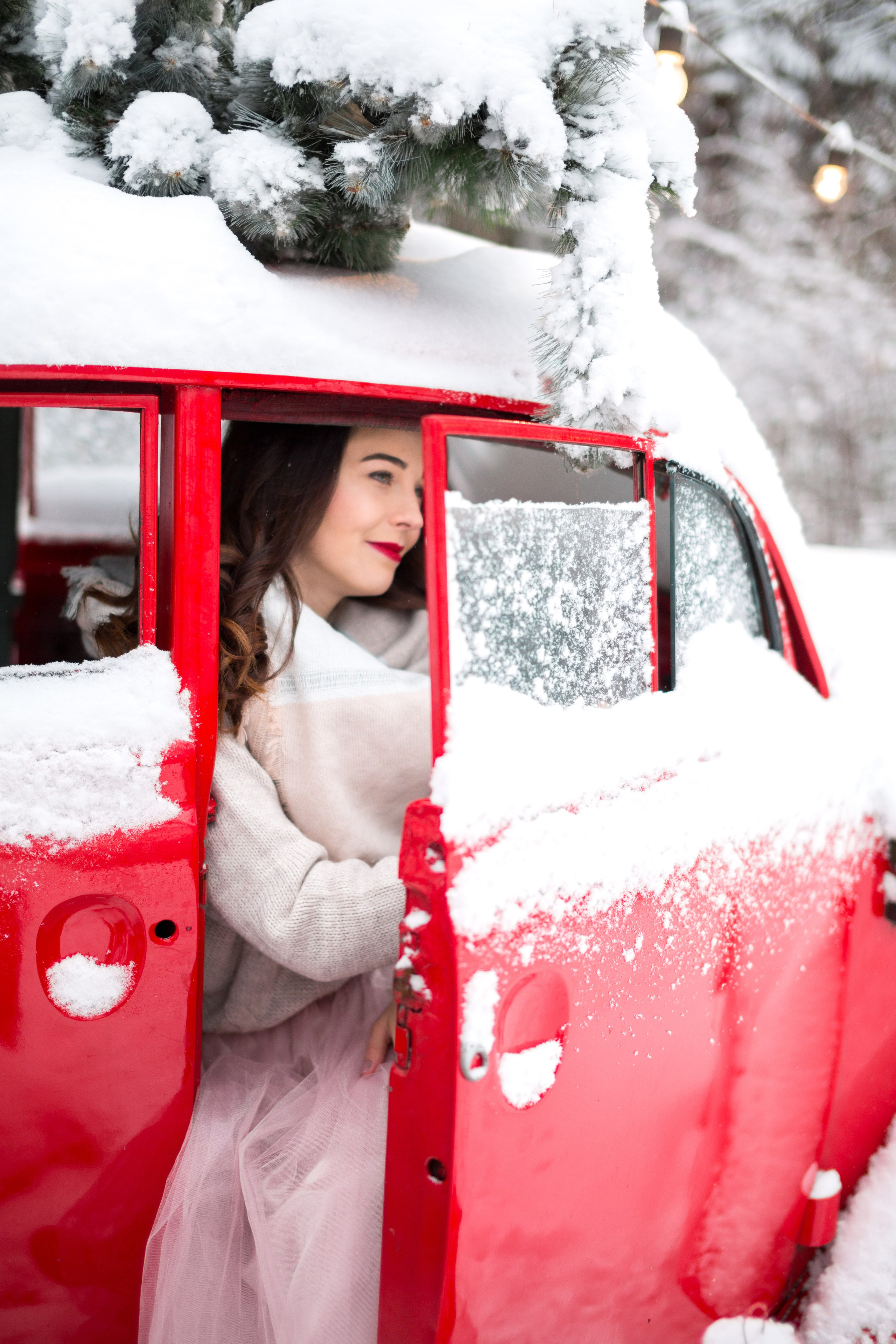 Winter Love. Wedding and Family Photograph