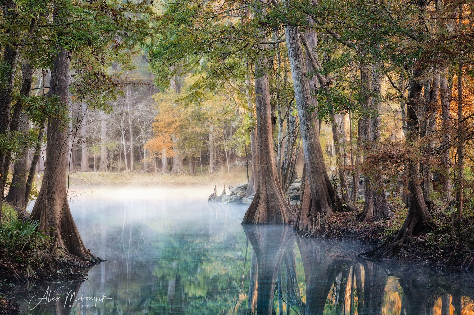 Exploring True Florida: Springs, Rivers & Manatees by Canoe. Pet, Senior, Landscape, portrait studio, photographer in Miami and Sou