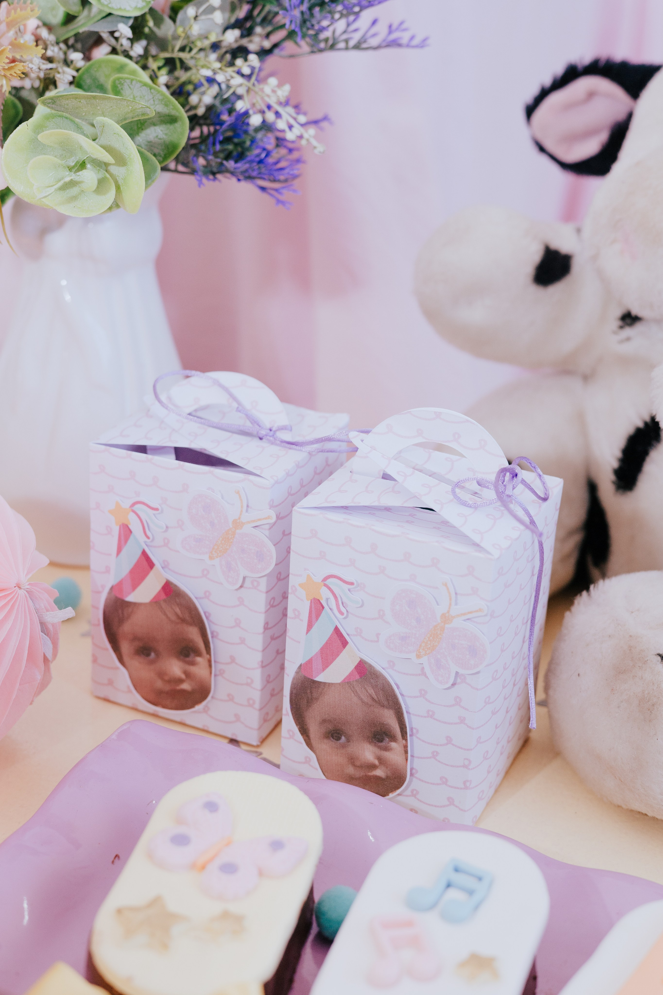 Cecília 2 anos. Fotografia de família e parto