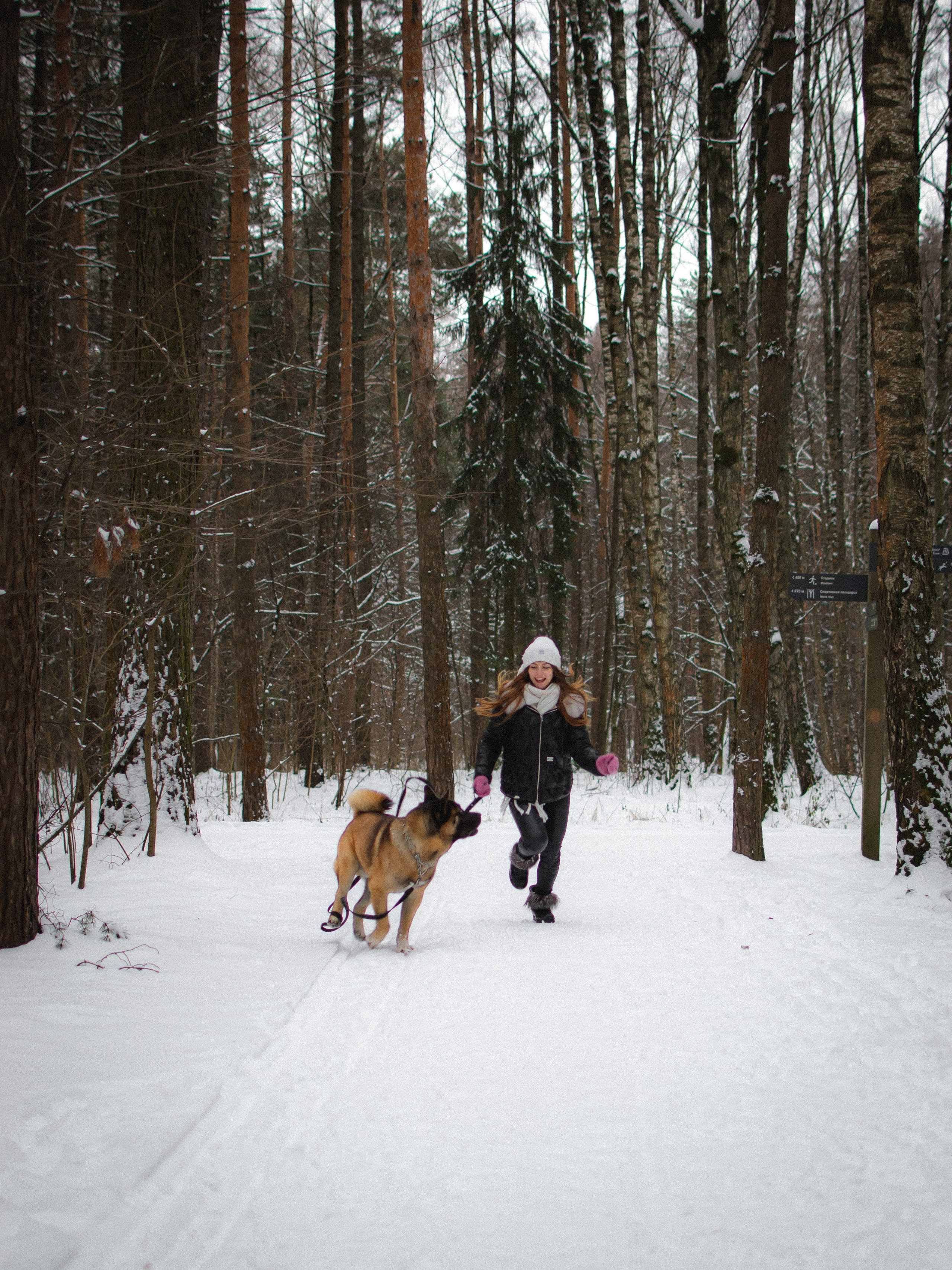Margarita et Hulk. Photographe animalier à Paris Anna Pereira
