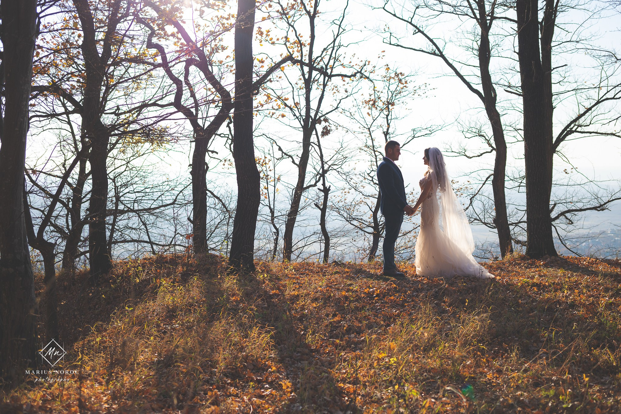 Alexandra & Alin | Padurea Bucium Iasi