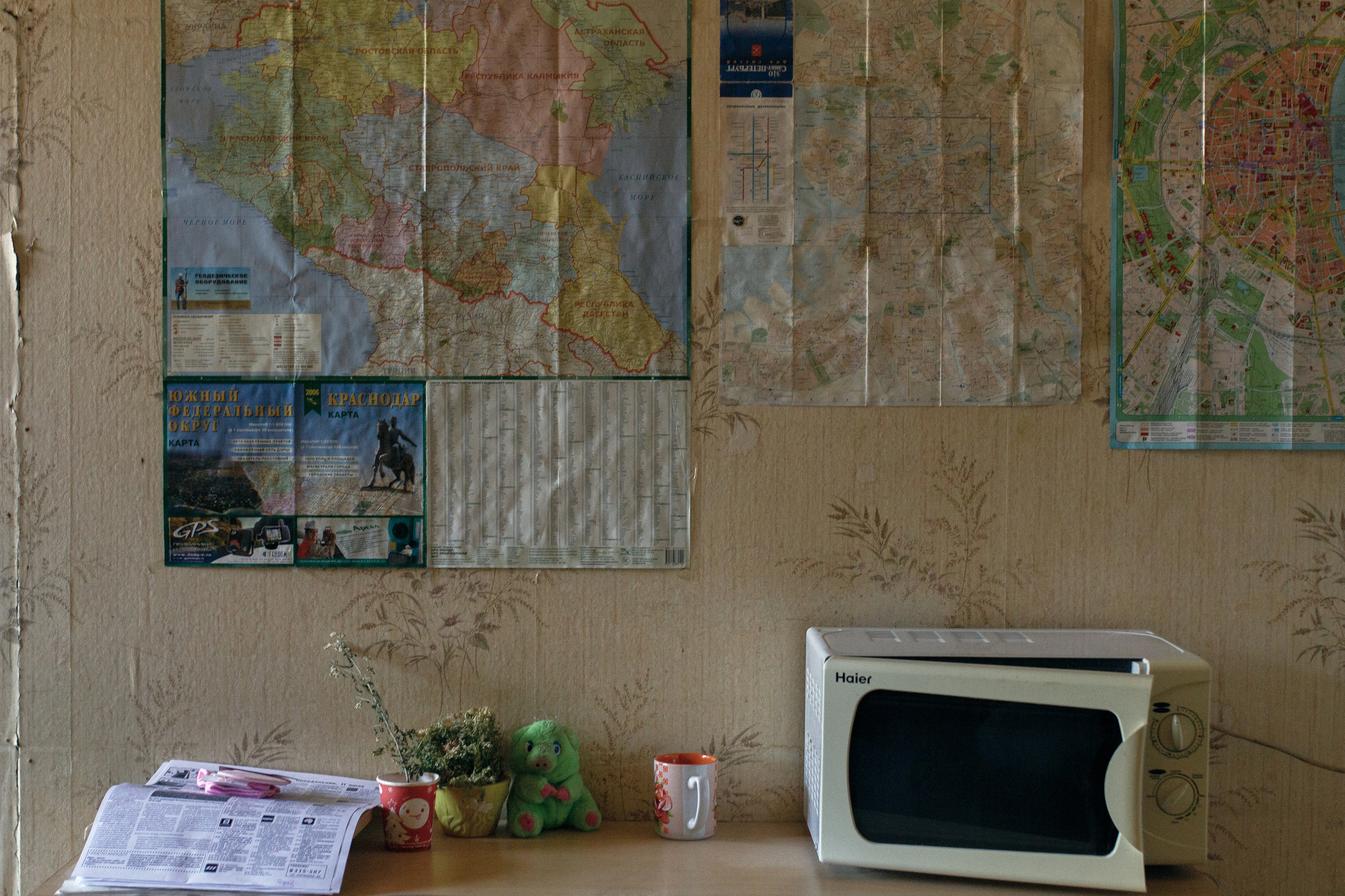 Taganrogskaya pravda. Visual artist