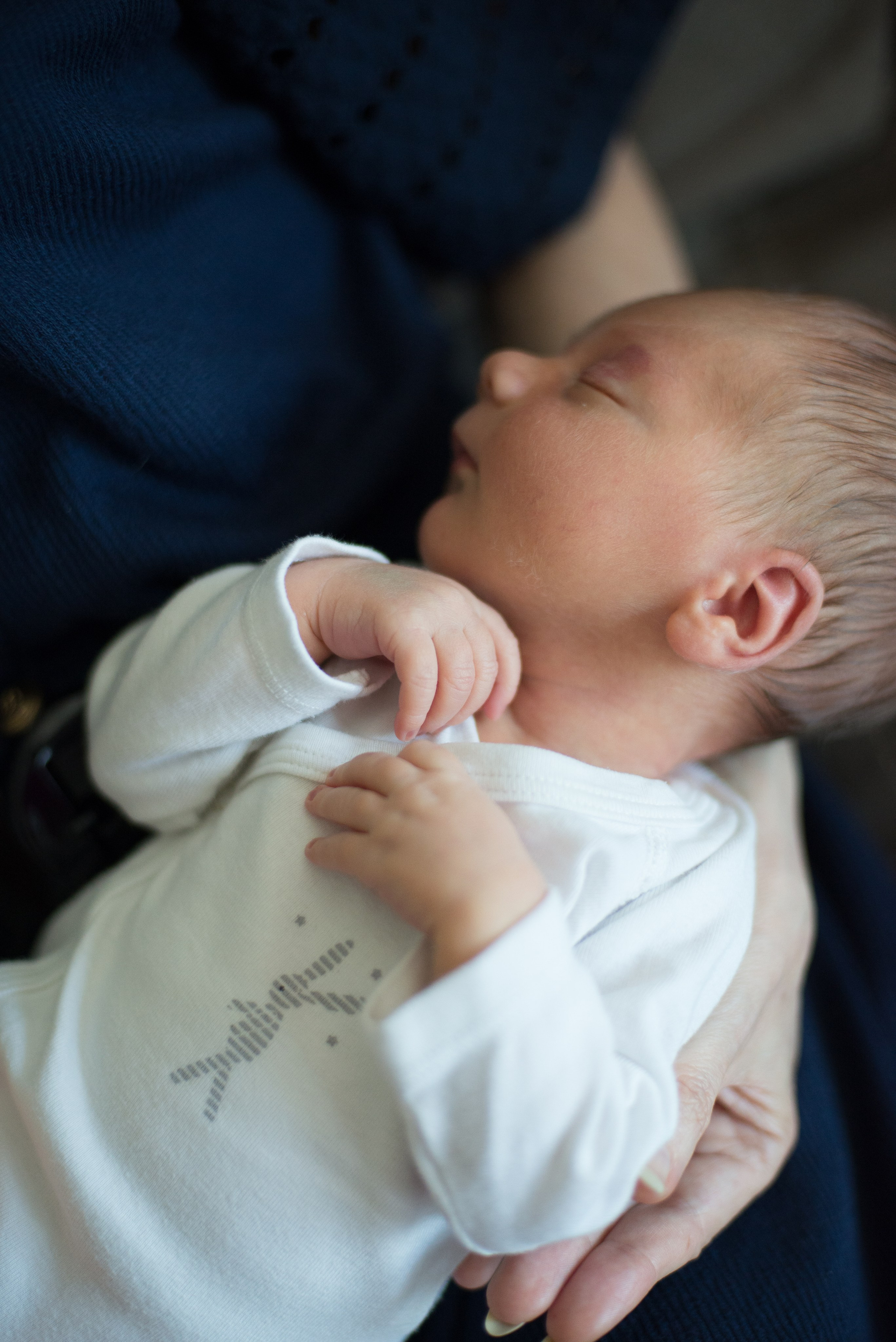 Семья Ильи и Мелани. Визуальный брендинг