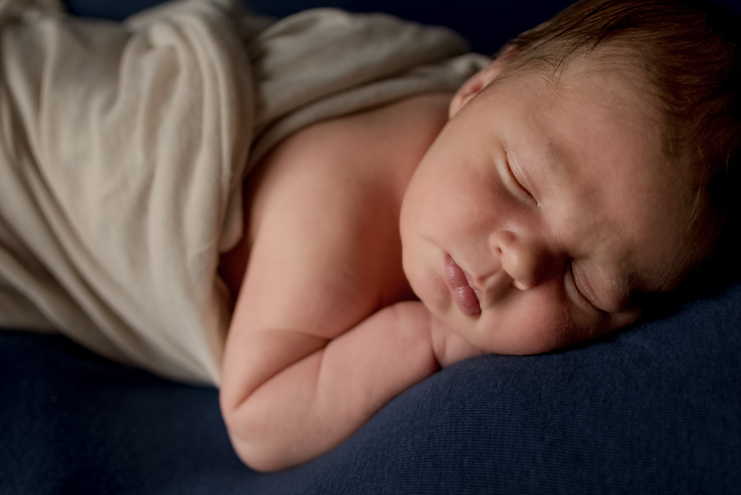 Neugeborene. Lena Horch